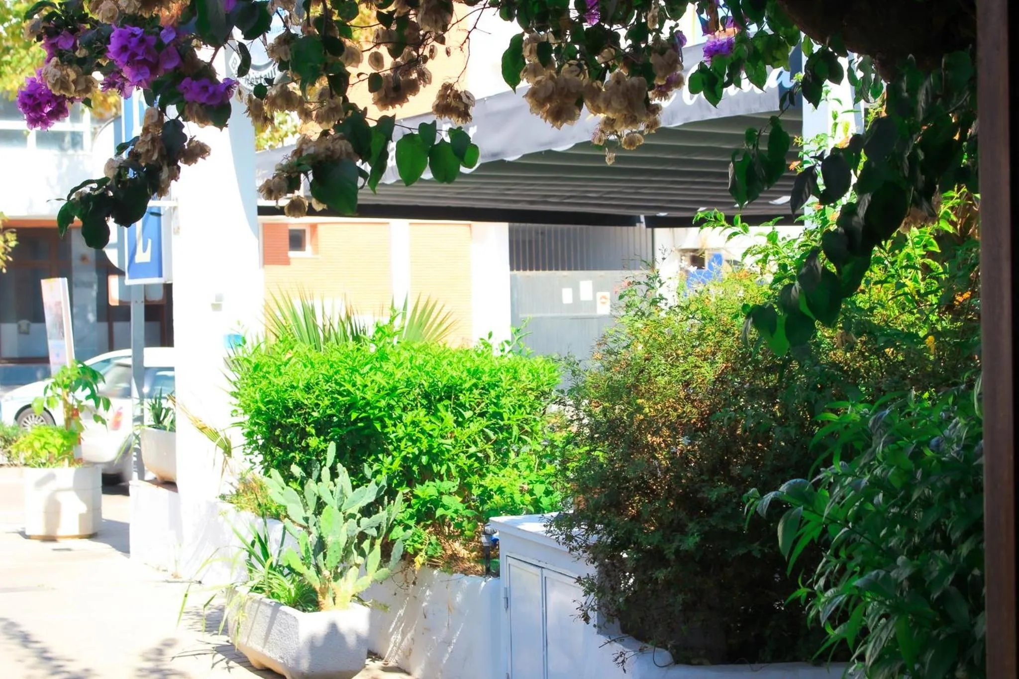 Facade/entrance in Hotel Patricia