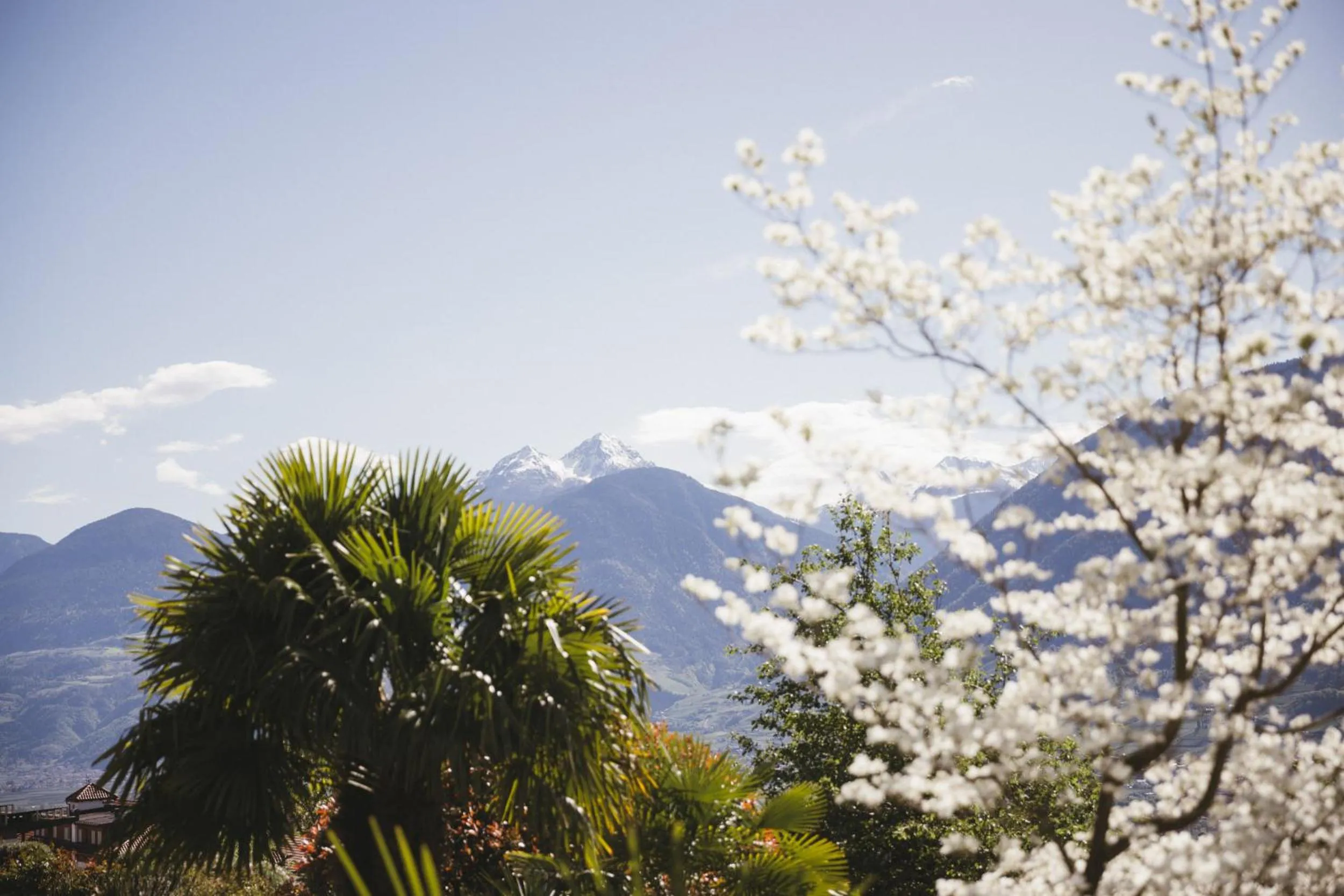 View (from property/room) in Hotel Hohenwart