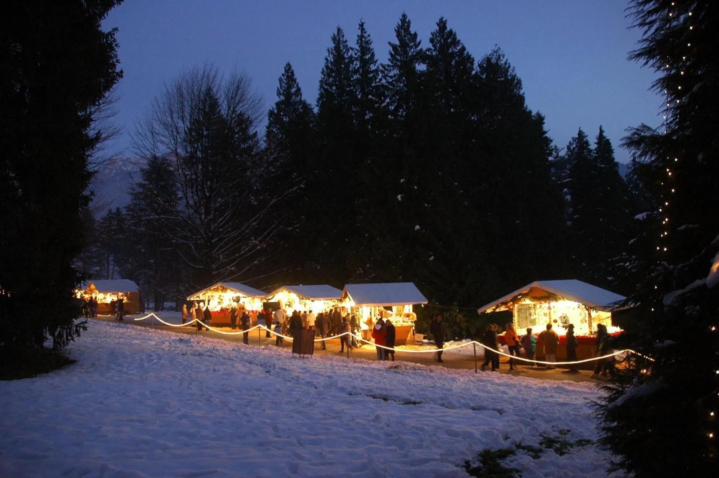 Area and facilities in Hotel Daniela