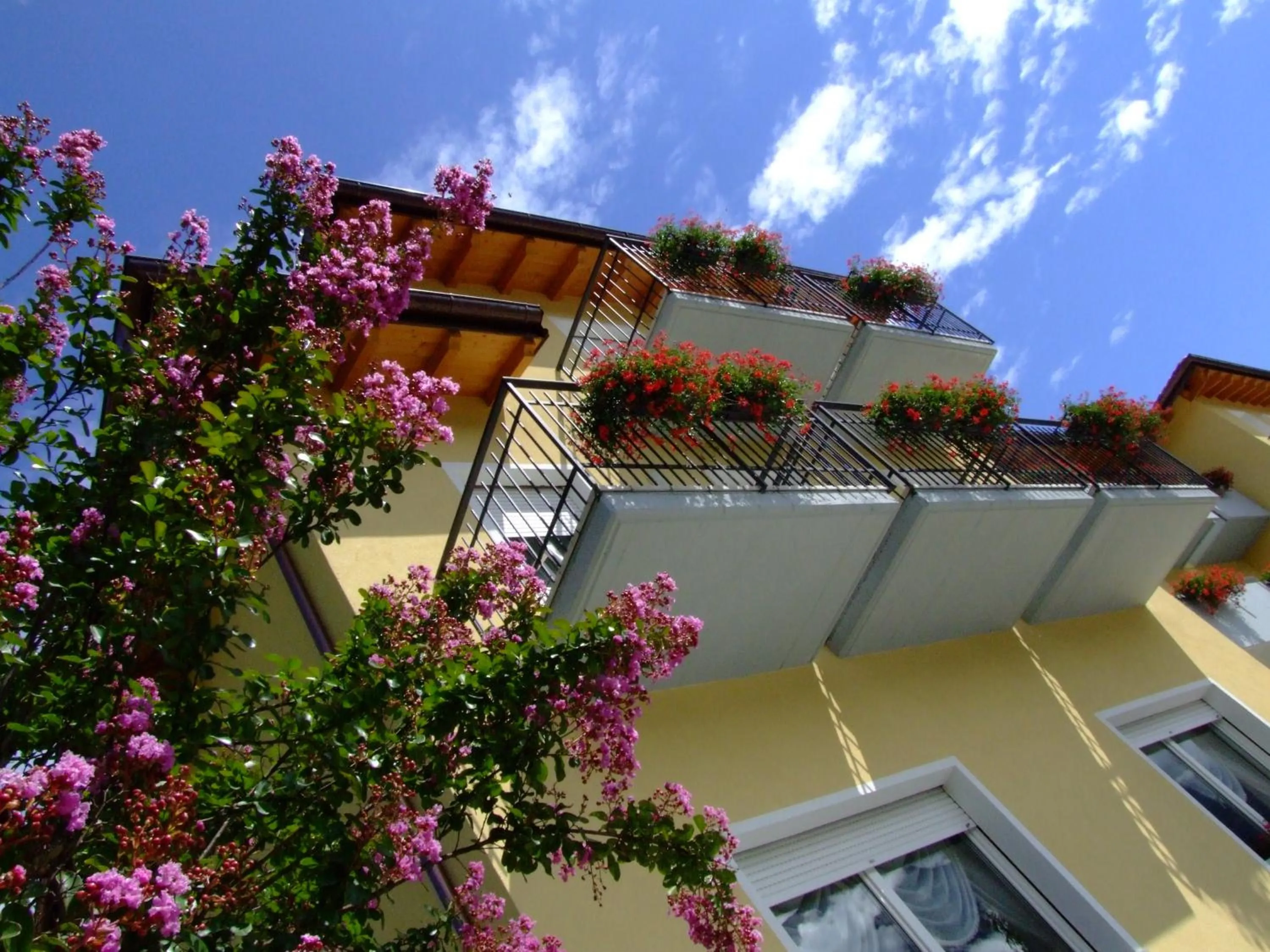 Balcony/Terrace in Hotel Daniela