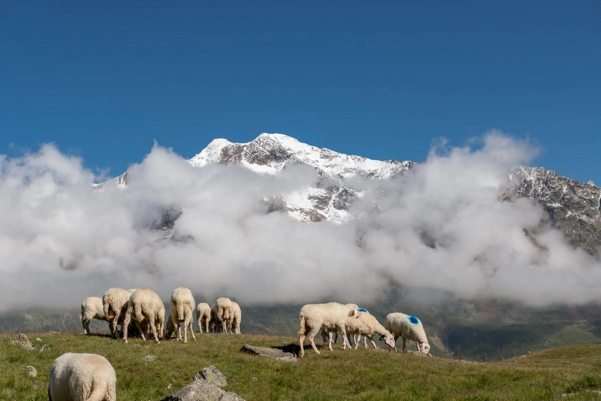 Other in Natur-&Alpinhotel Post