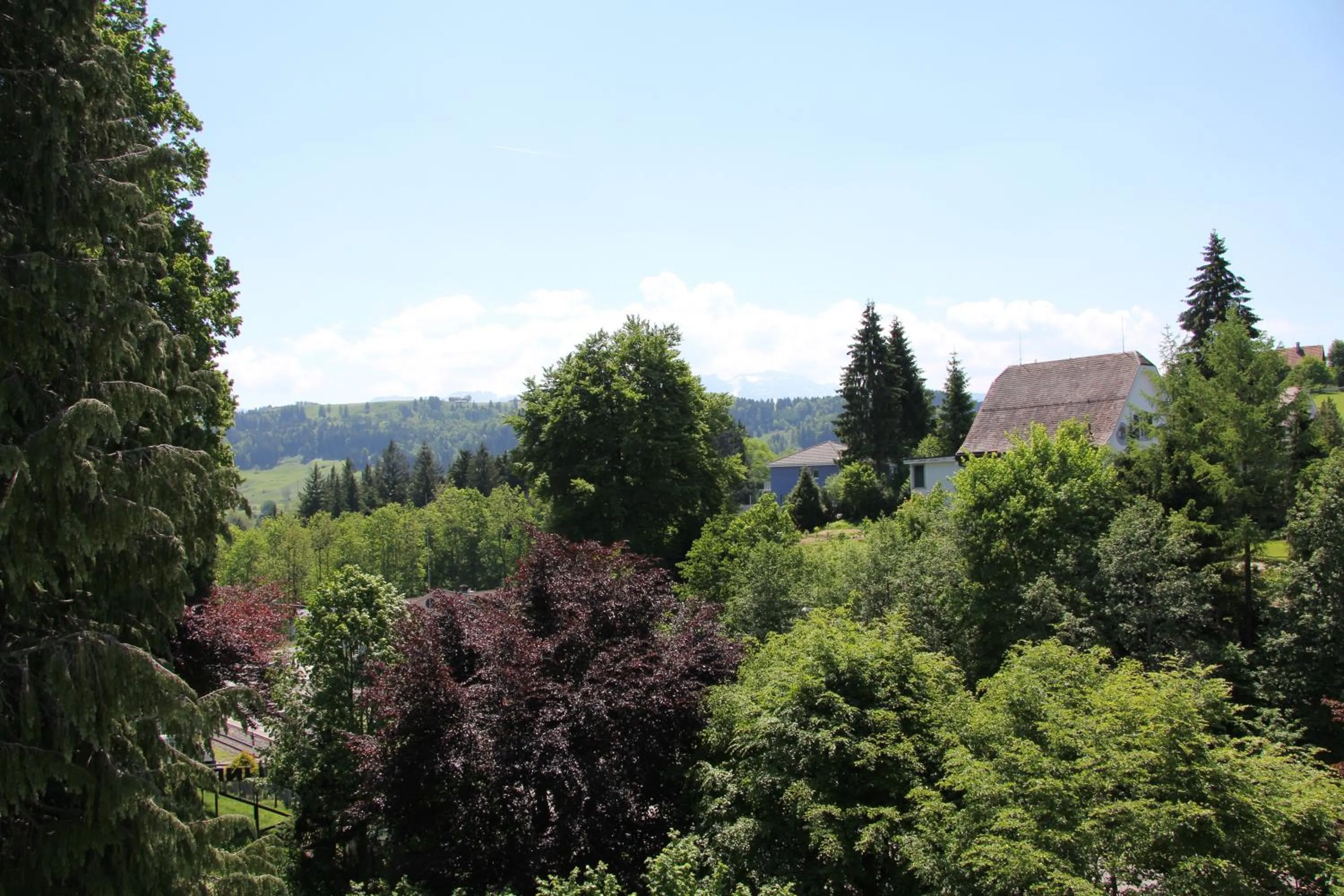 Natural landscape in Hotel & Spezialitätenrestaurant zur Linde