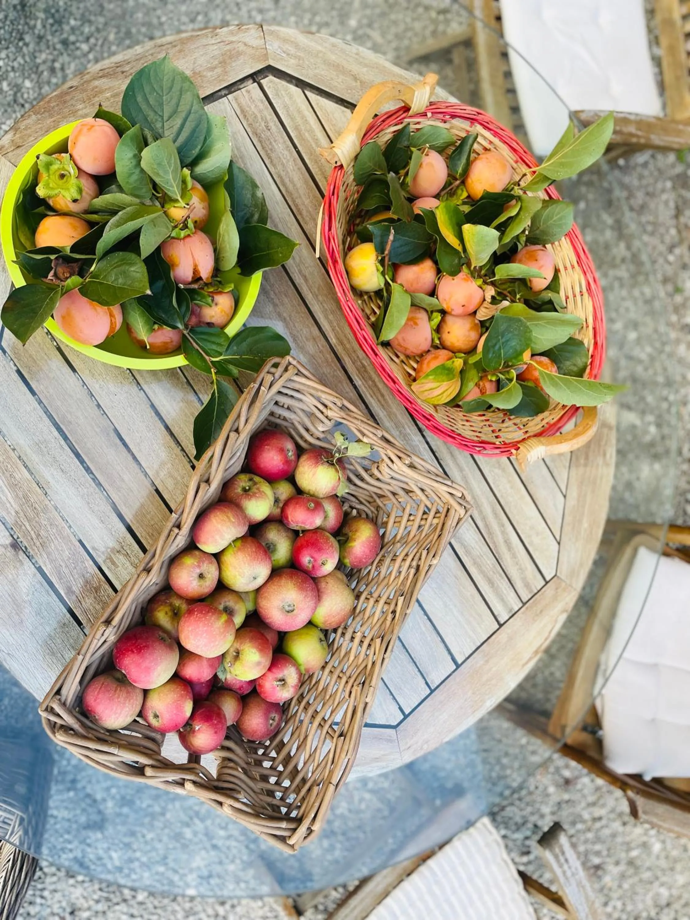 Garden in B&B Il Conte Giacomo