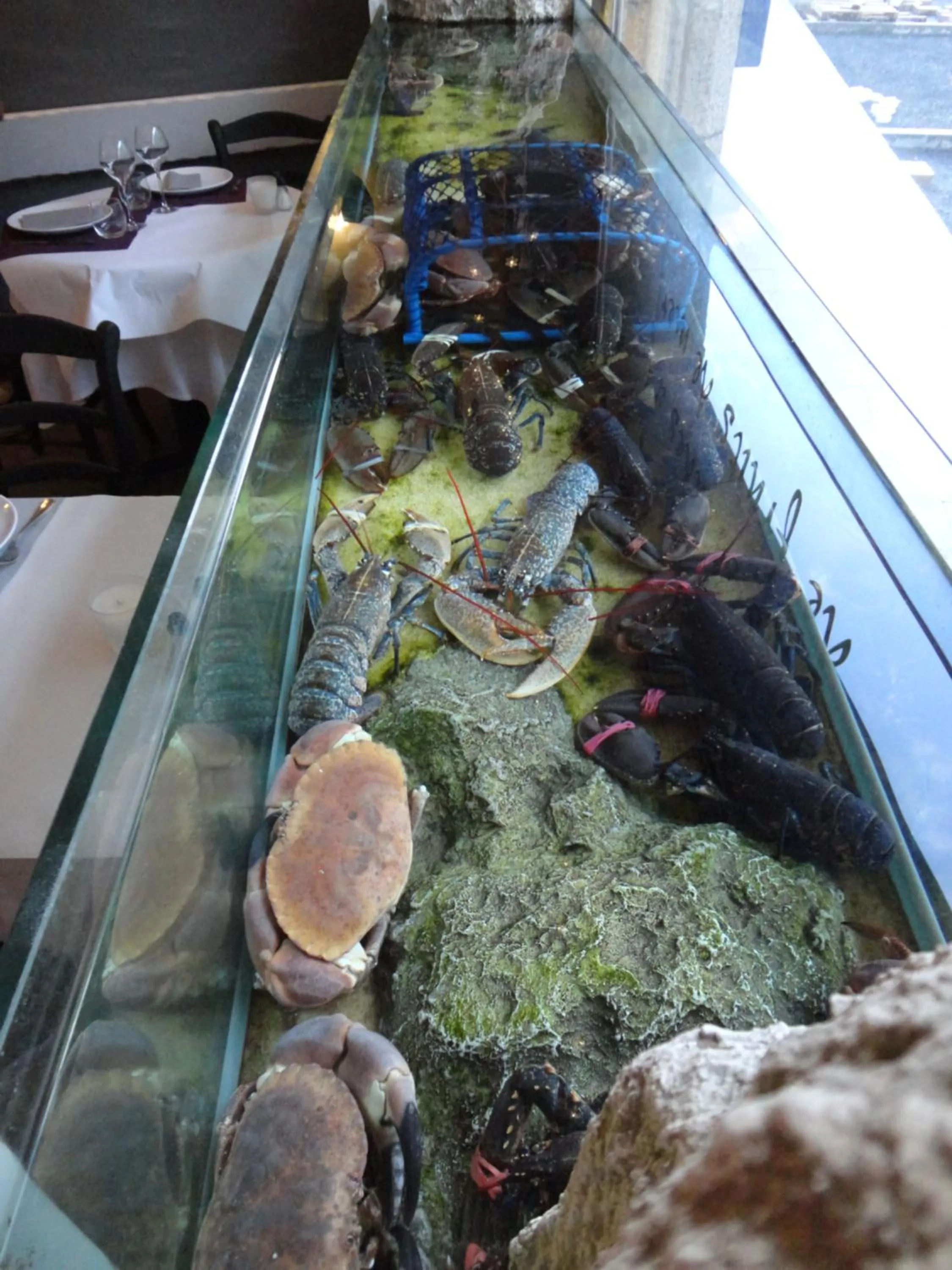 Decorative detail in Logis Hôtel Les Chardons Bleus RESTAURANT LE BISTROT DE LA MER