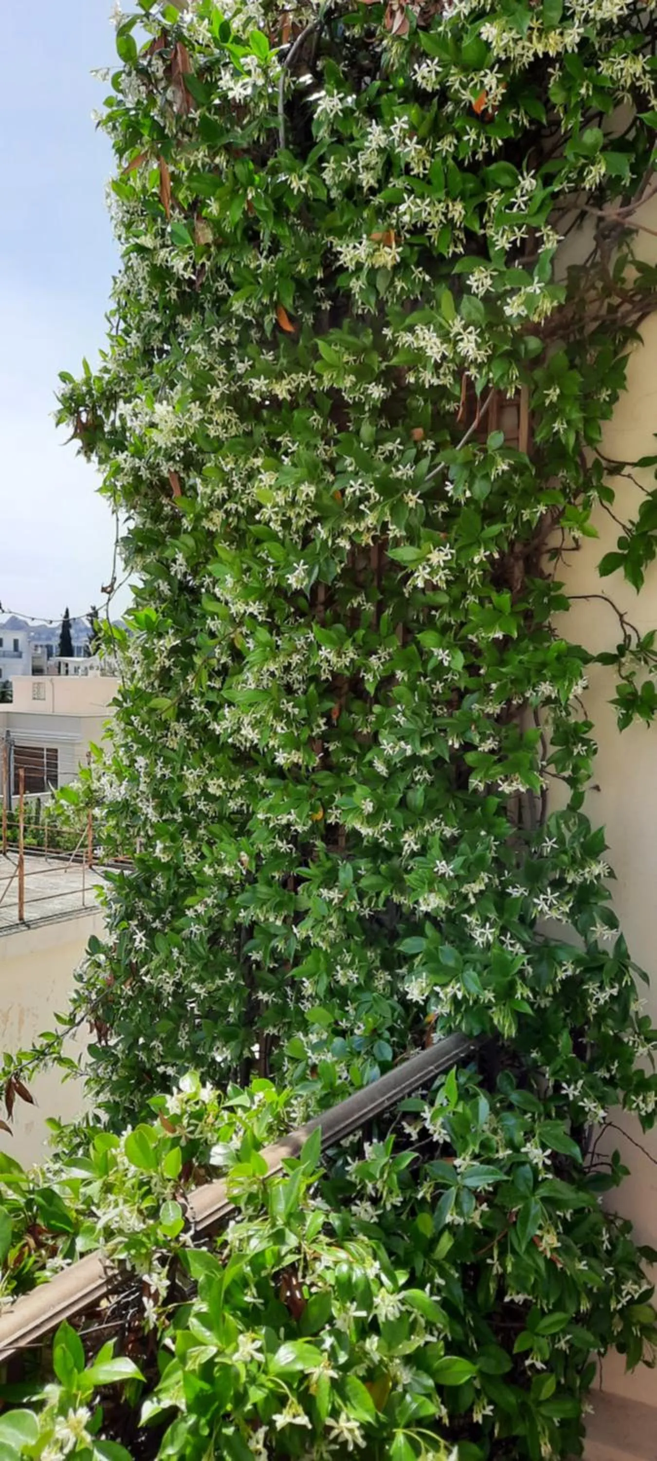 Olympic Fashion Hotels