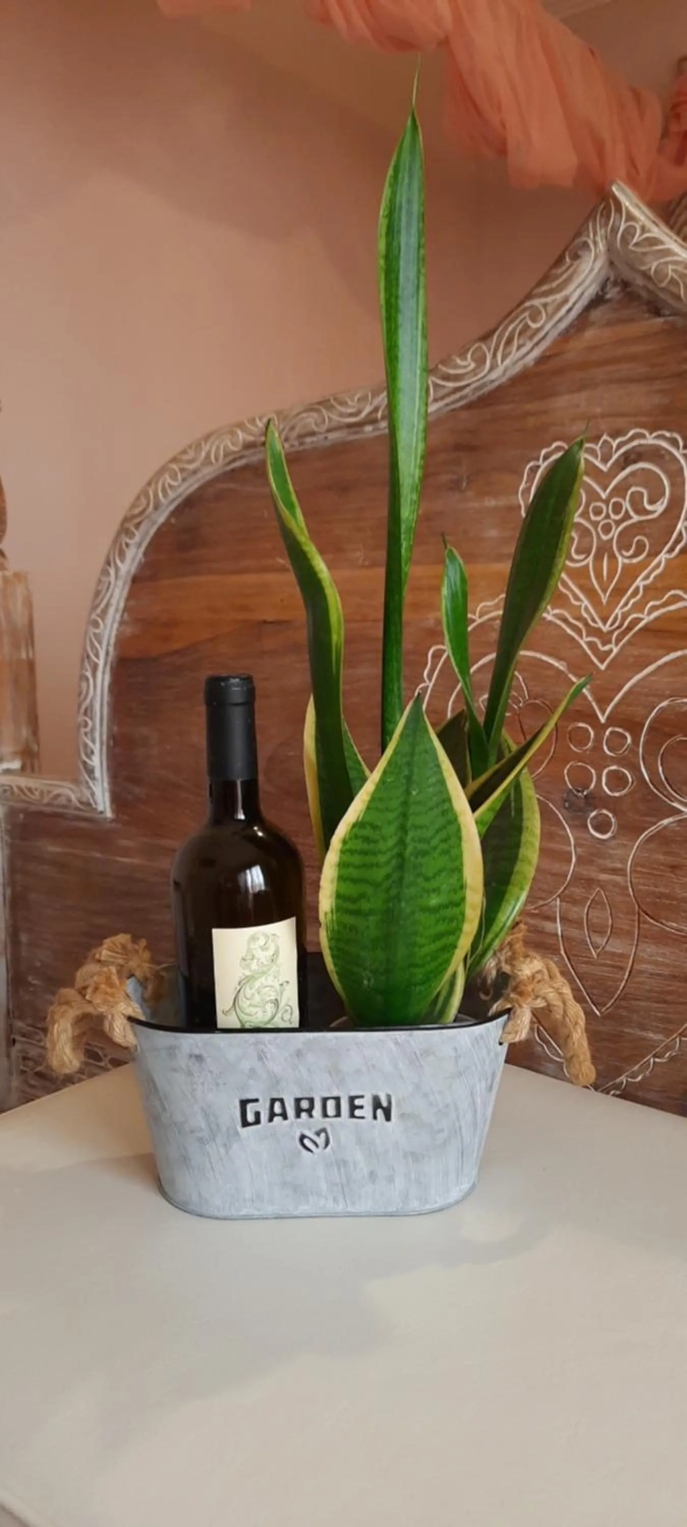 Olympic Fashion Hotels