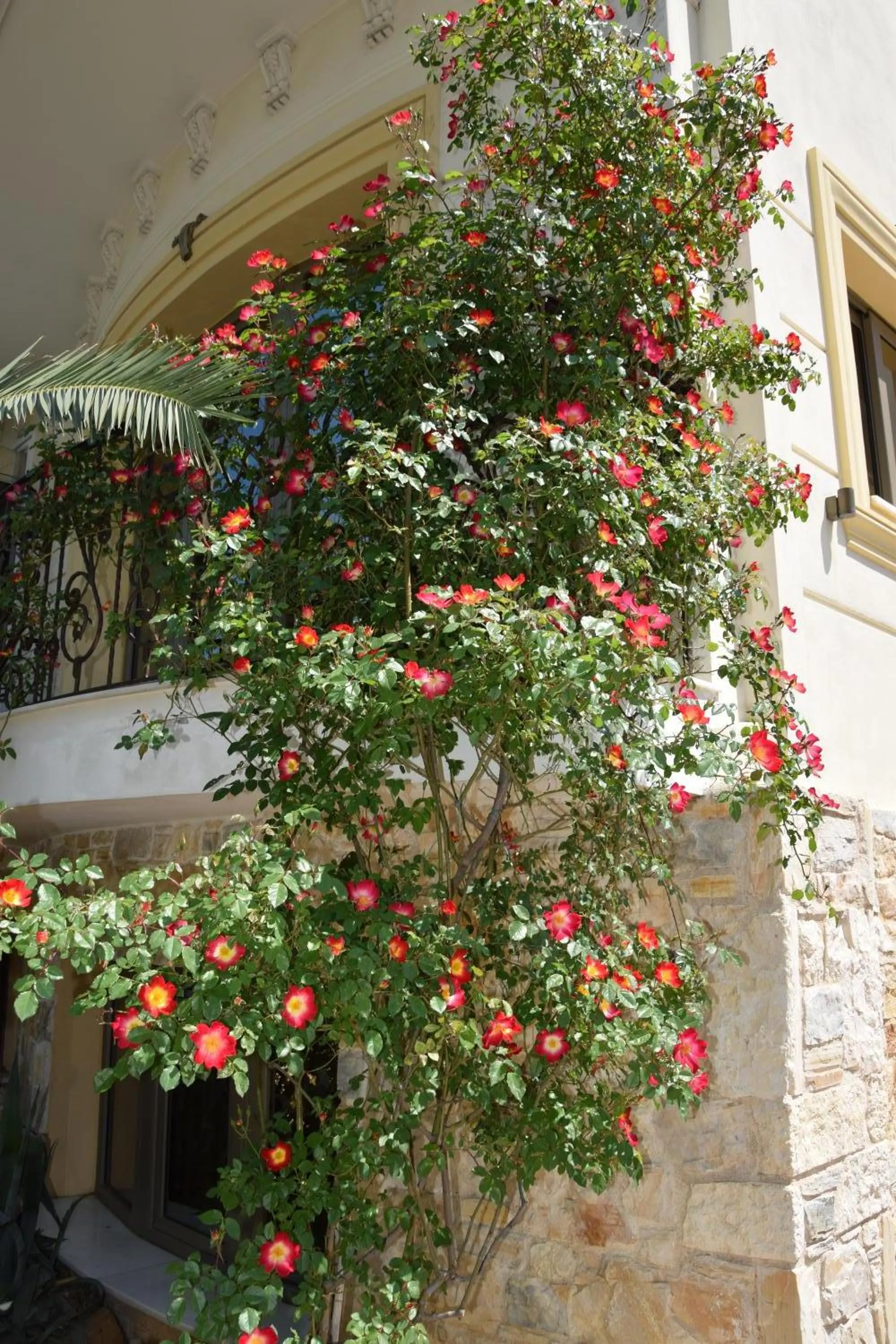 Property building in Olympic Fashion Hotels