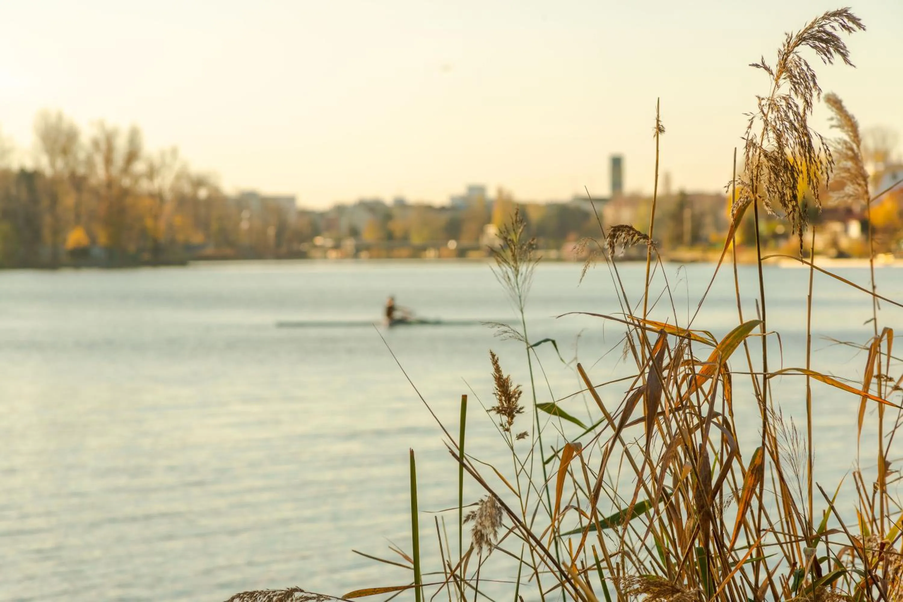 Windsurfing in The rooms Bed & Breakfast