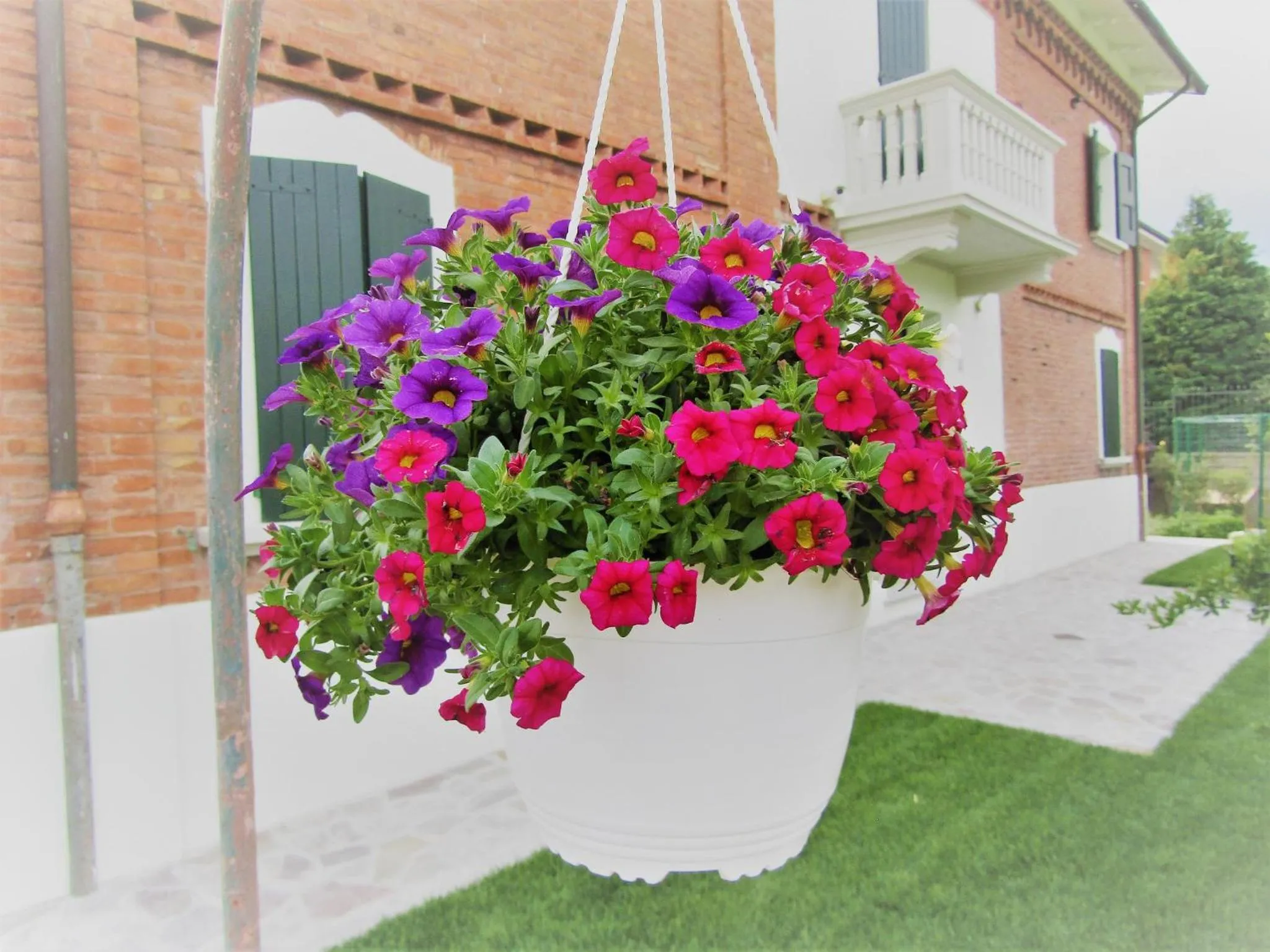 Property building in Il Batacchio B&B