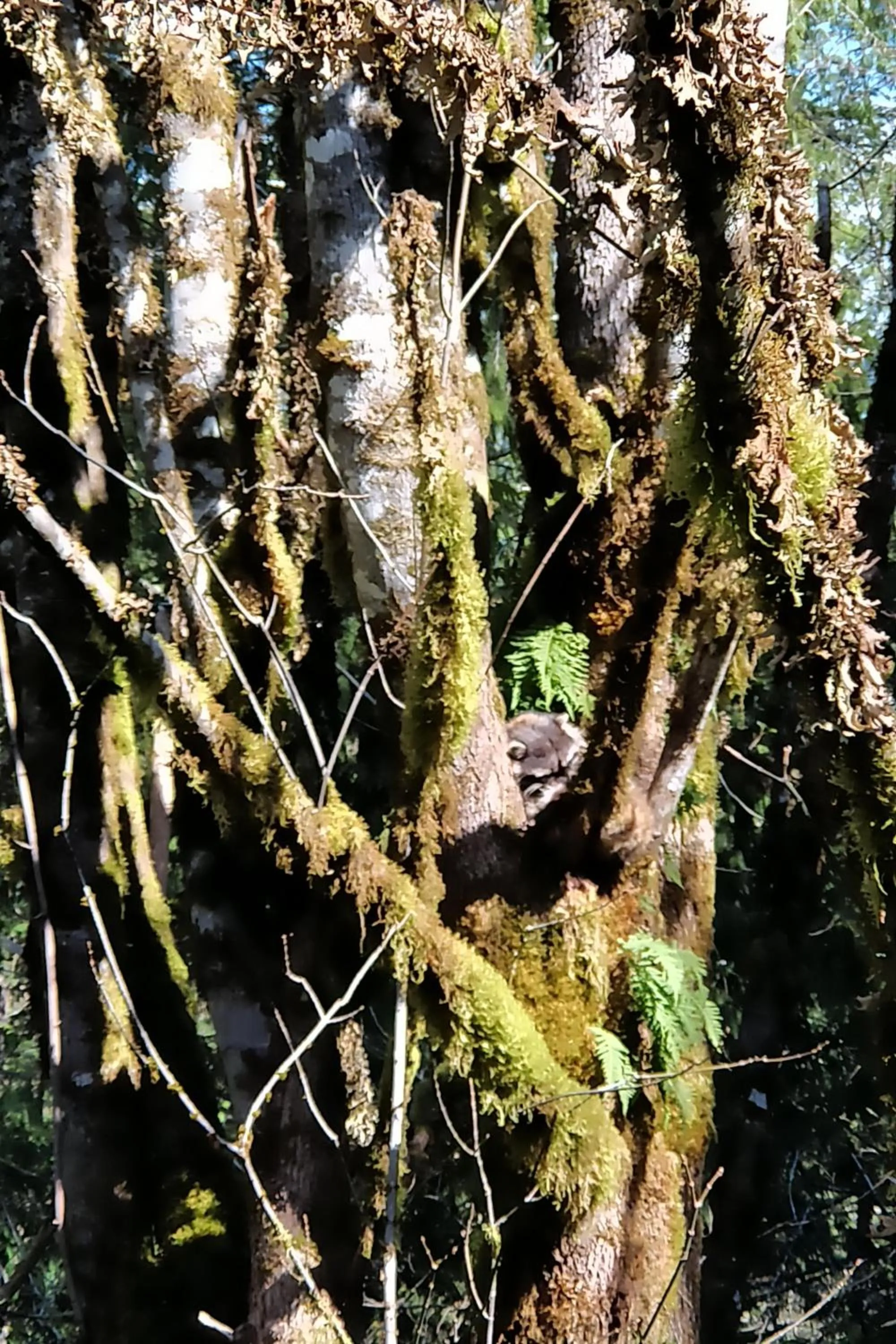Activities in The Perch at Moon Dance