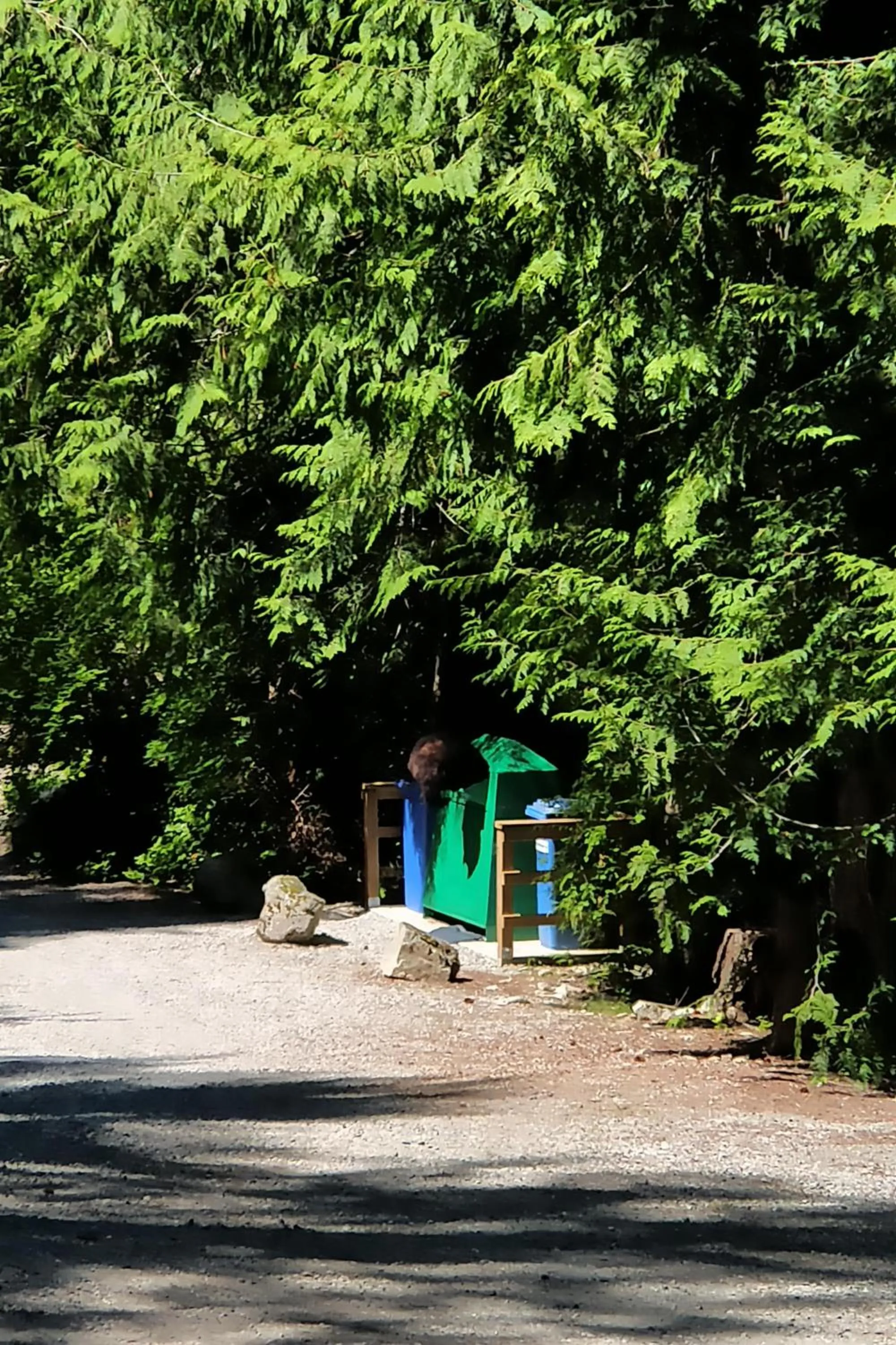 Garden in The Perch at Moon Dance