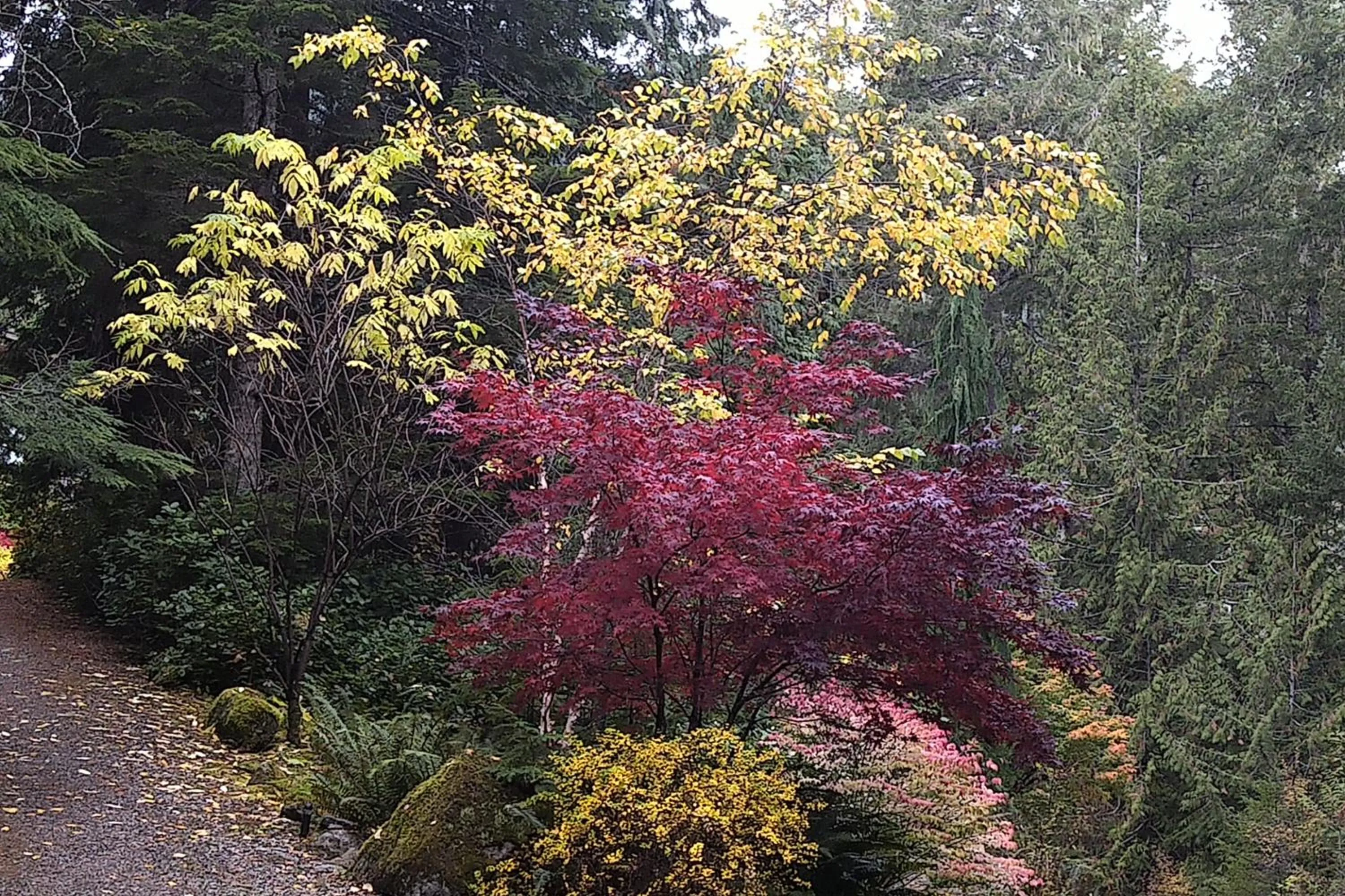 Garden in The Perch at Moon Dance