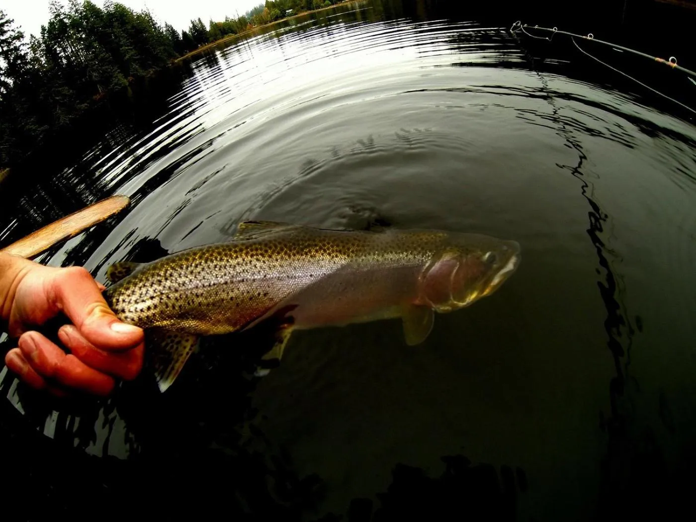 Activities in The Perch at Moon Dance