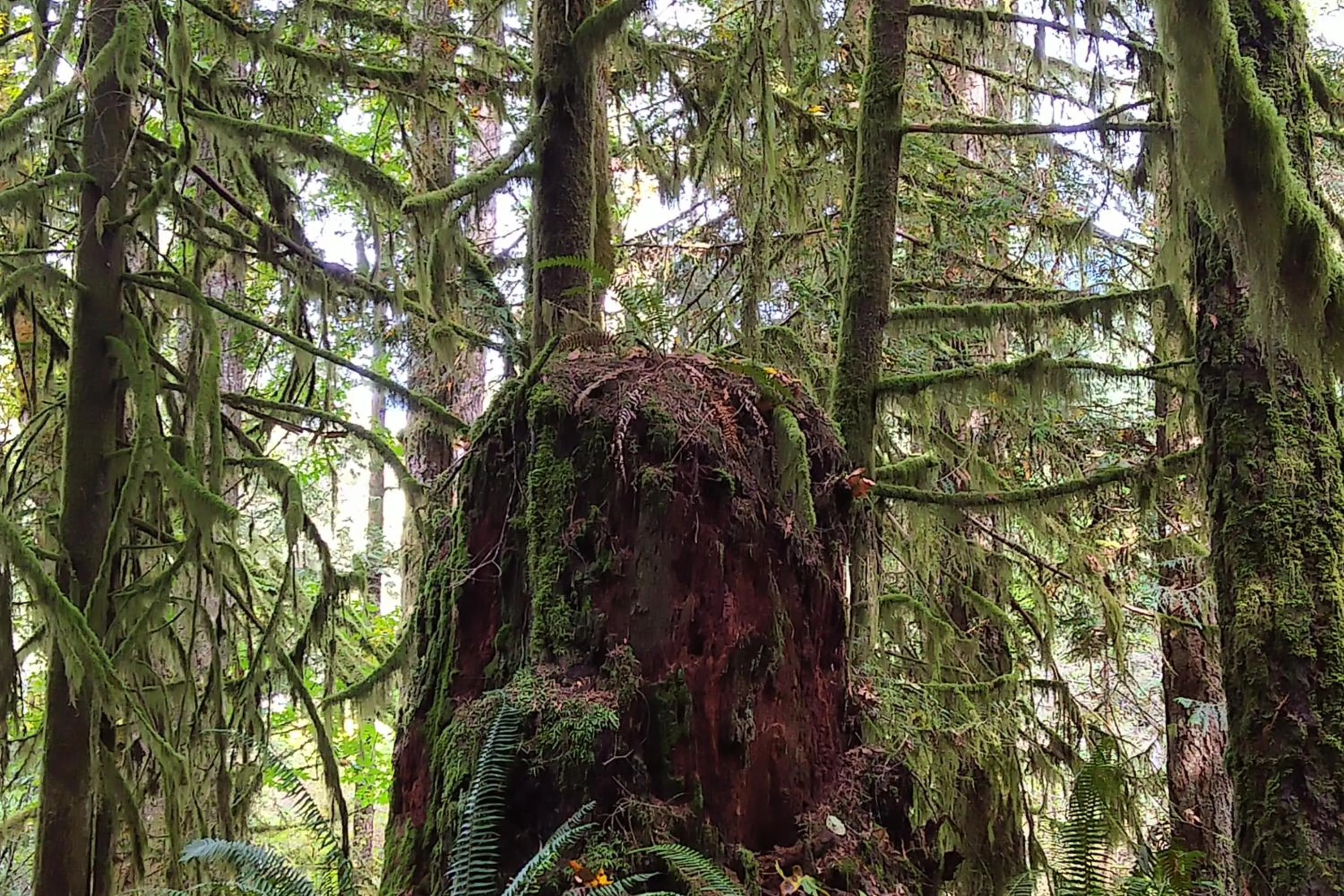 Natural landscape in The Perch at Moon Dance