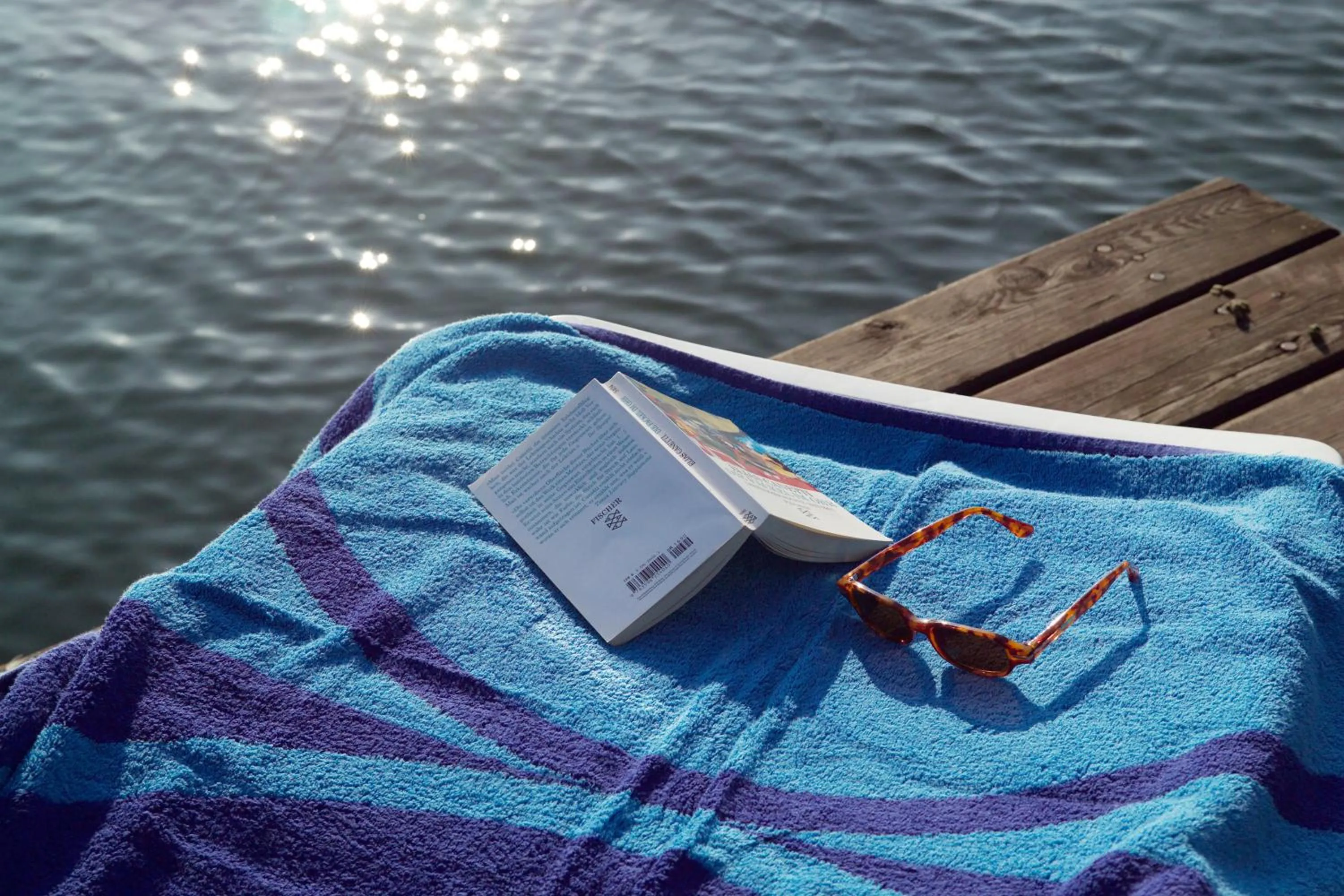 Beach in Strandhotel Alte Donau