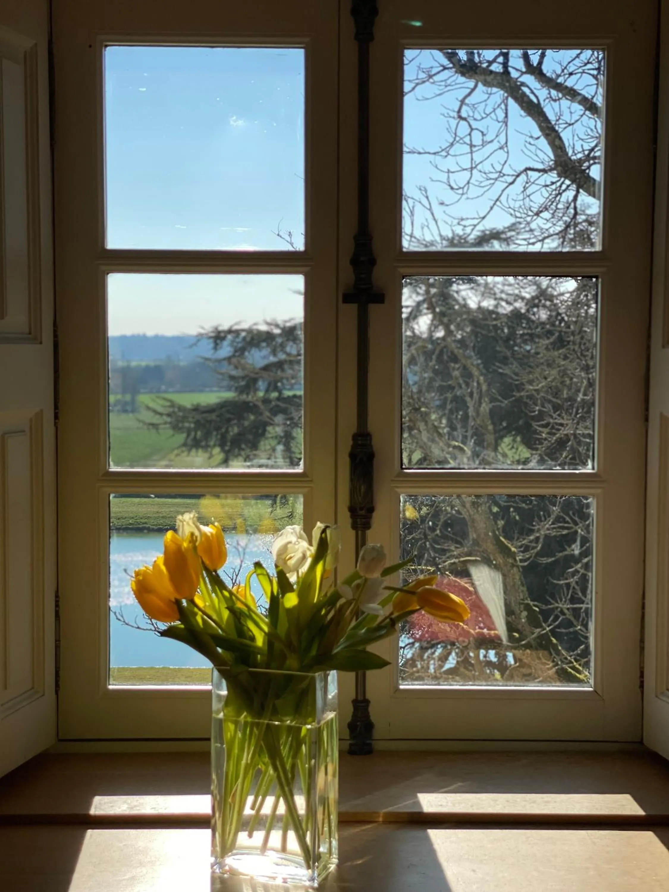 View (from property/room) in Domaine Des Bidaudieres