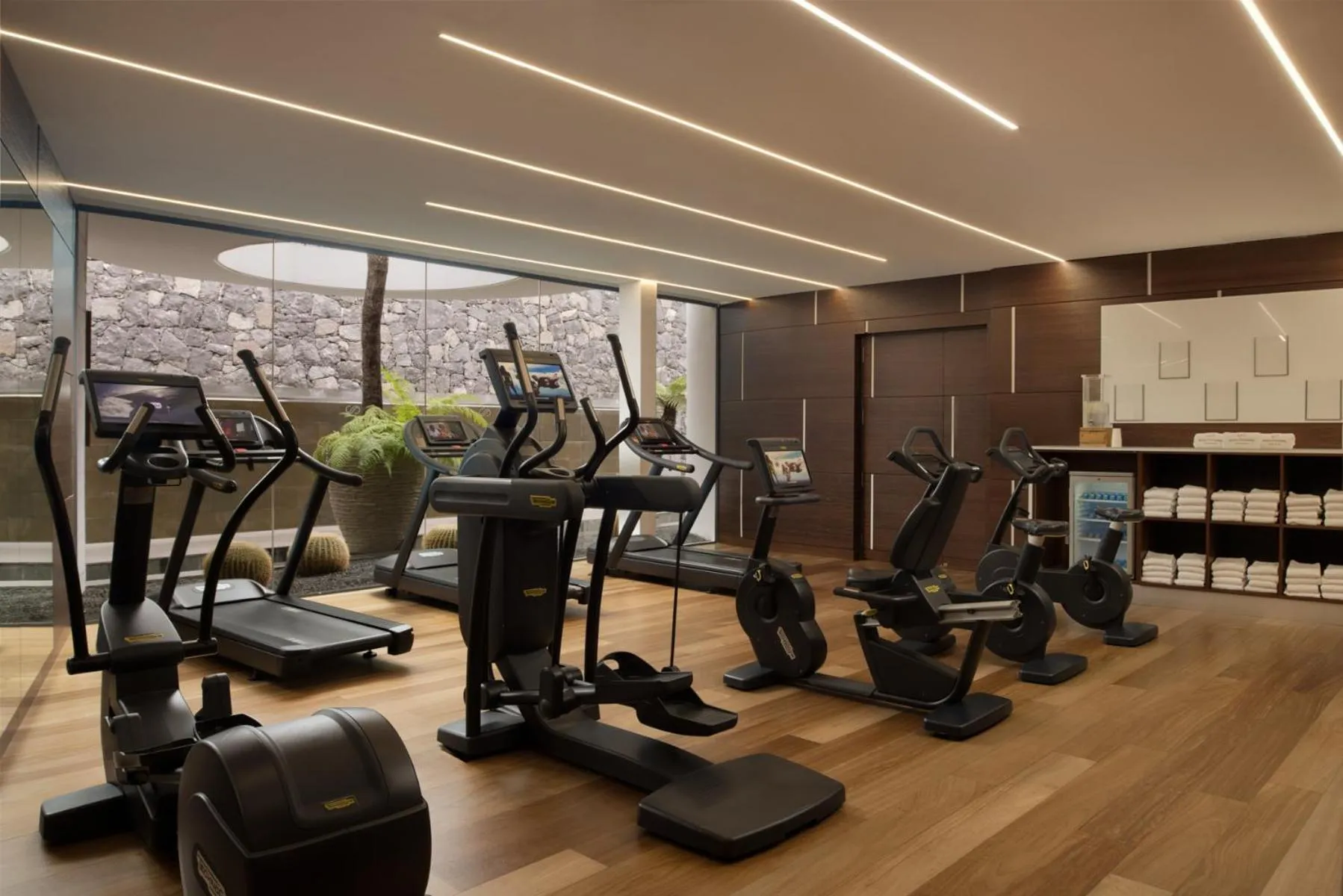 Fitness centre/facilities in Royal Hideaway Corales Suites