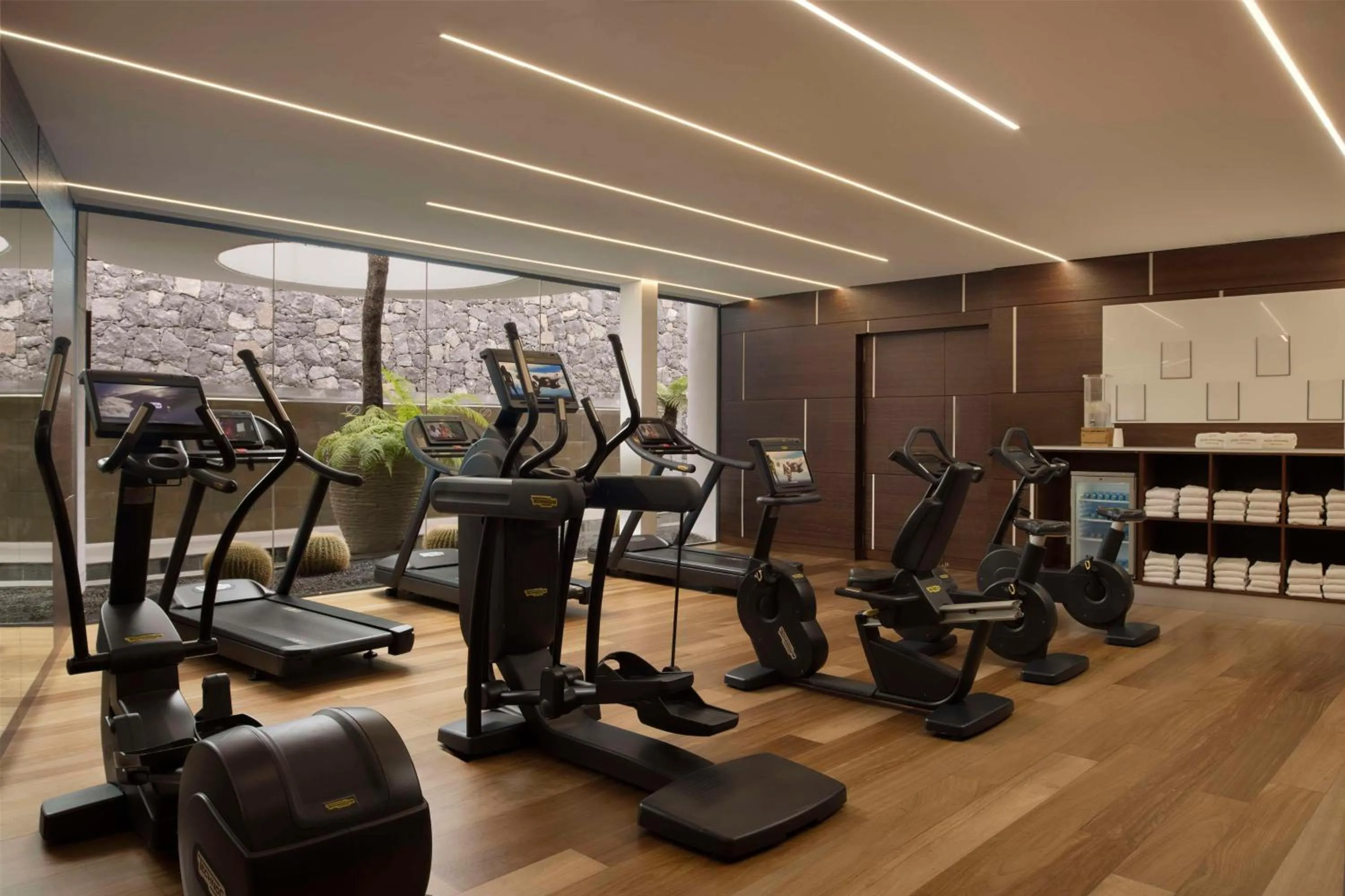 Fitness centre/facilities in Royal Hideaway Corales Suites