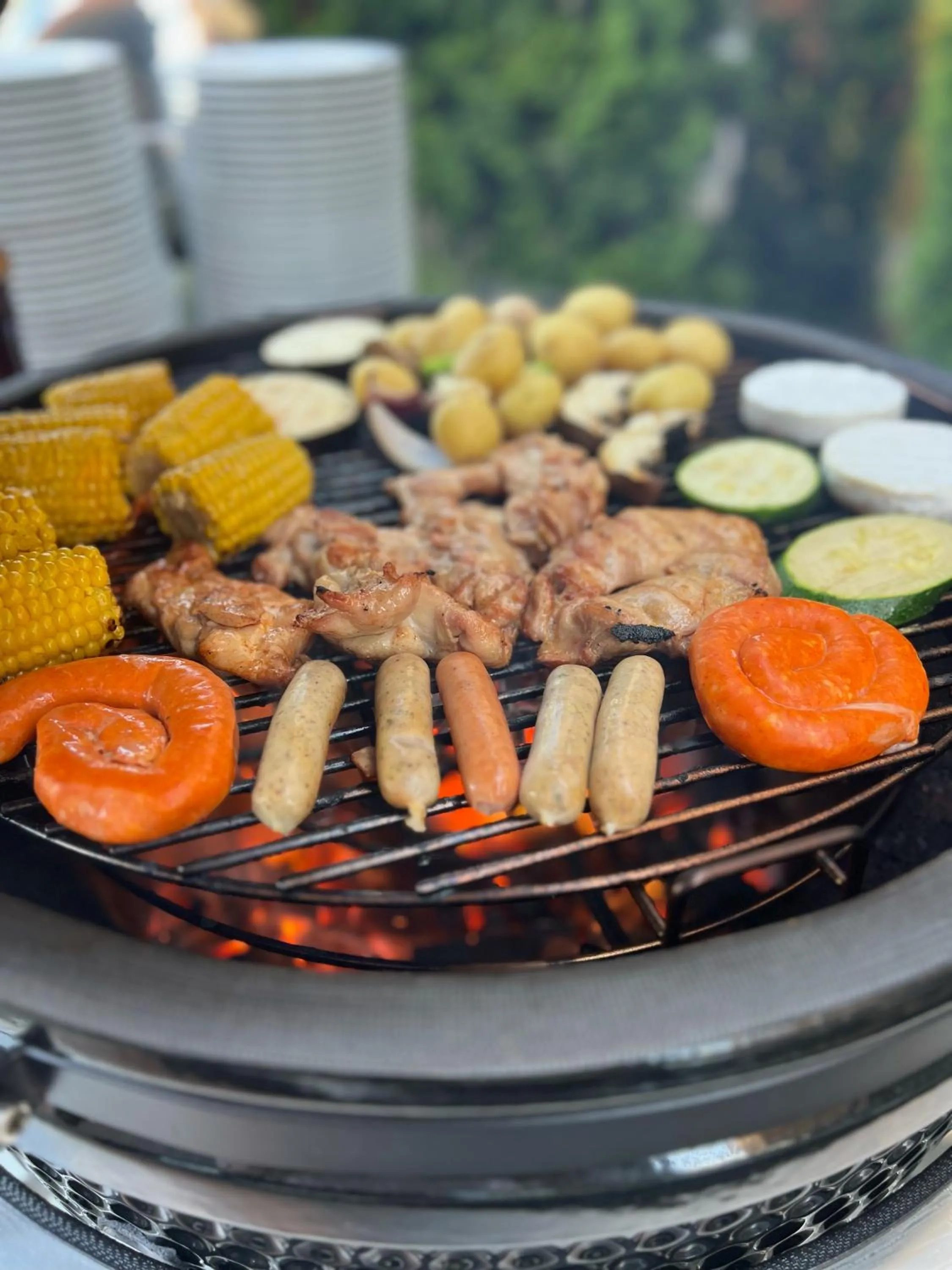 Hotel Dolphin - Adult friendly