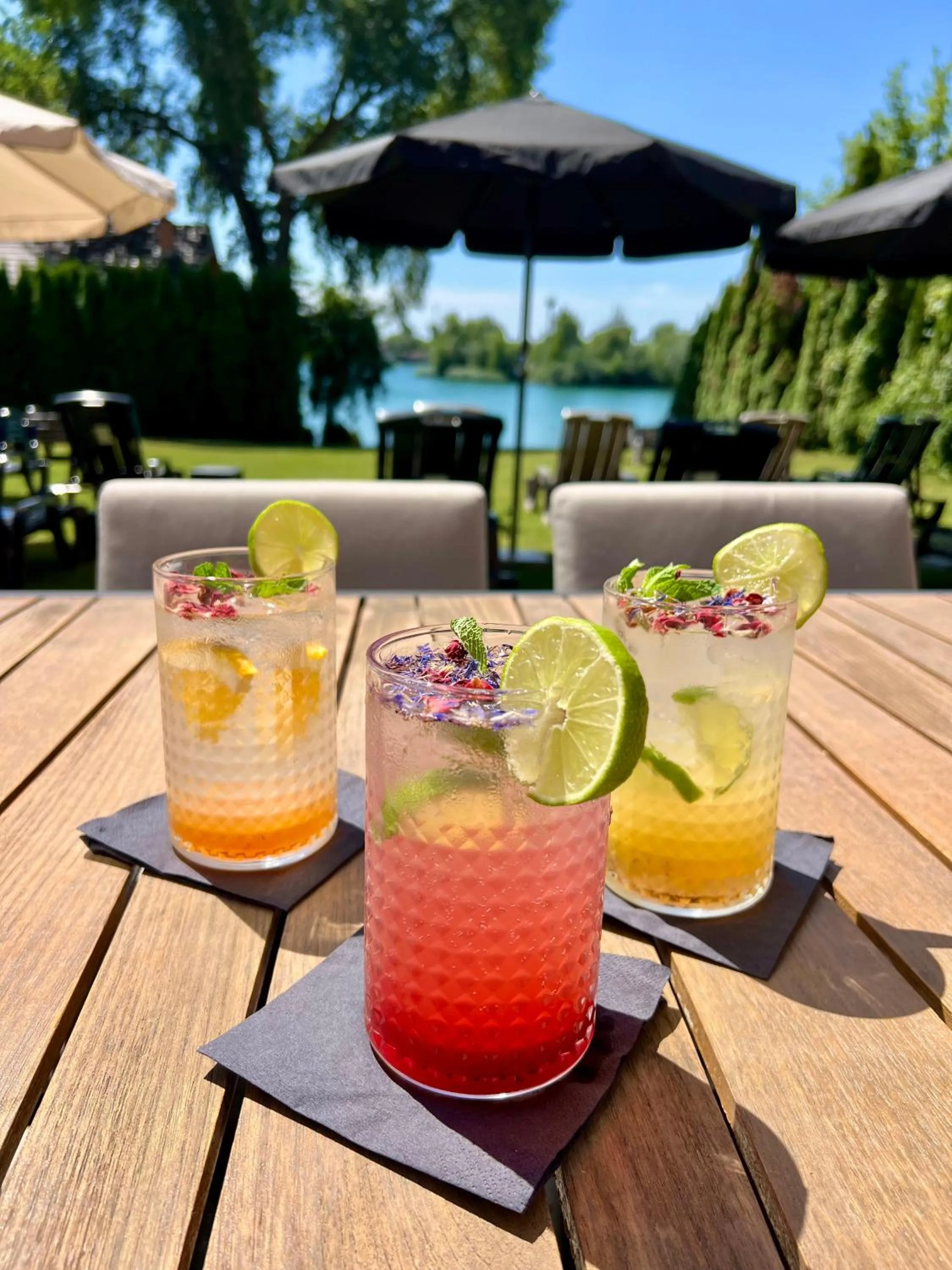 Hotel Dolphin - Adult friendly