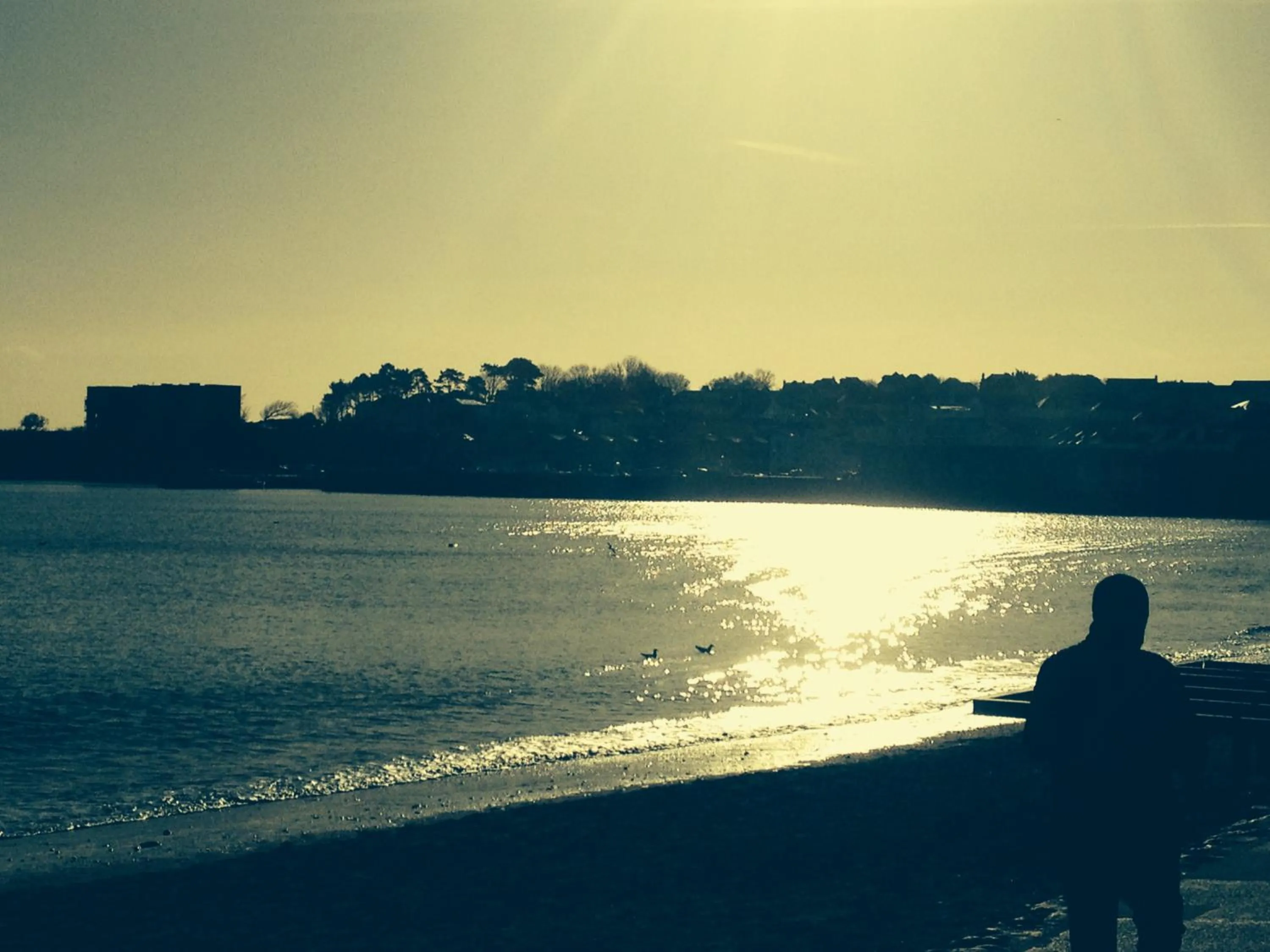 Off site in Beecroft Lodge