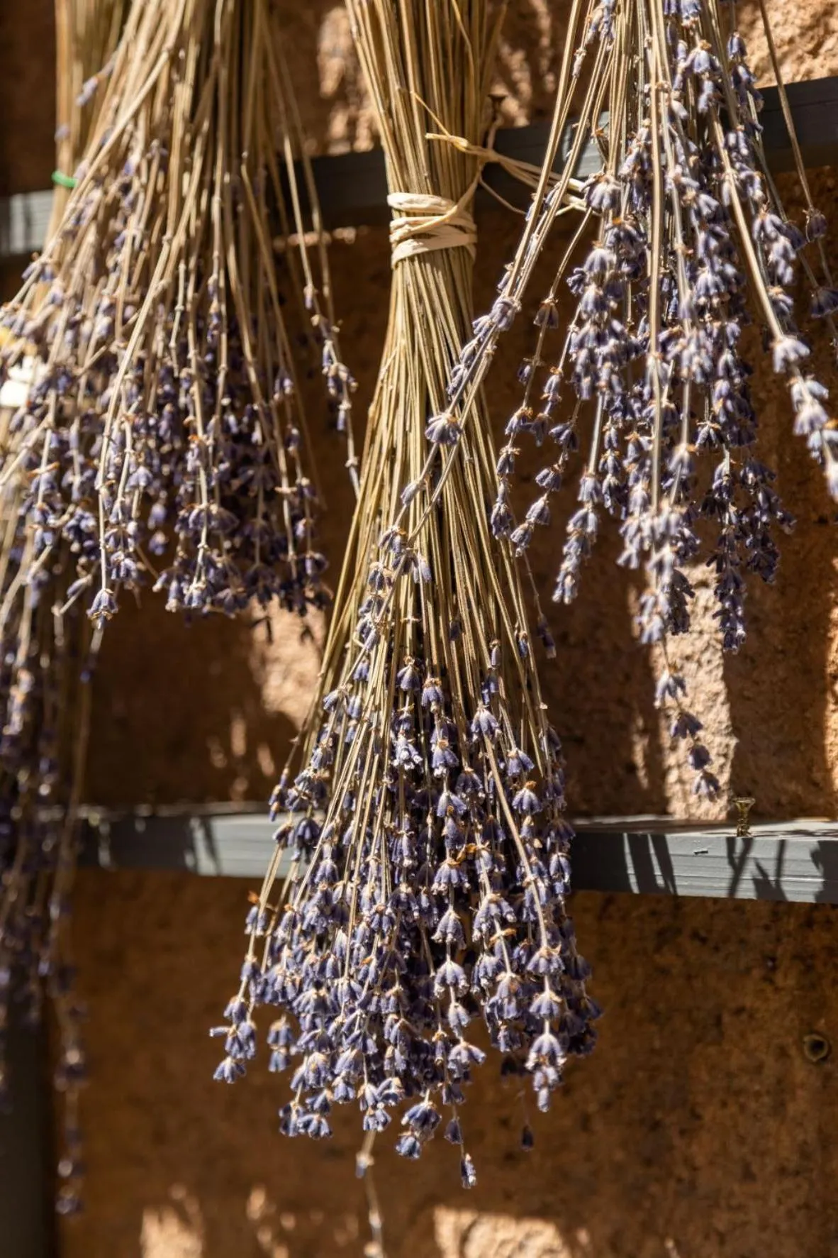 Neighbourhood in Domaine Les Sources de Dieulefit