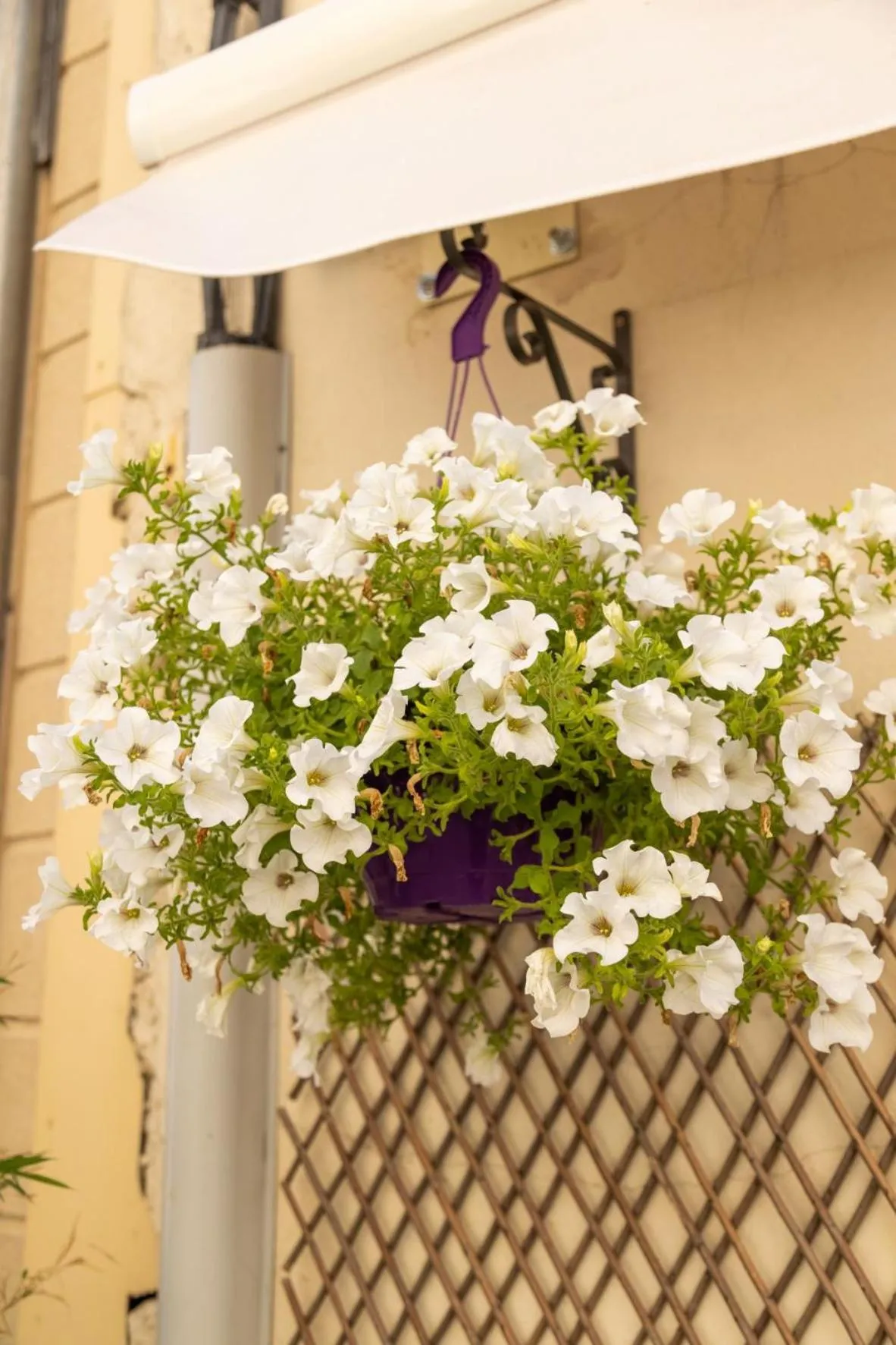 Neighbourhood in Domaine Les Sources de Dieulefit