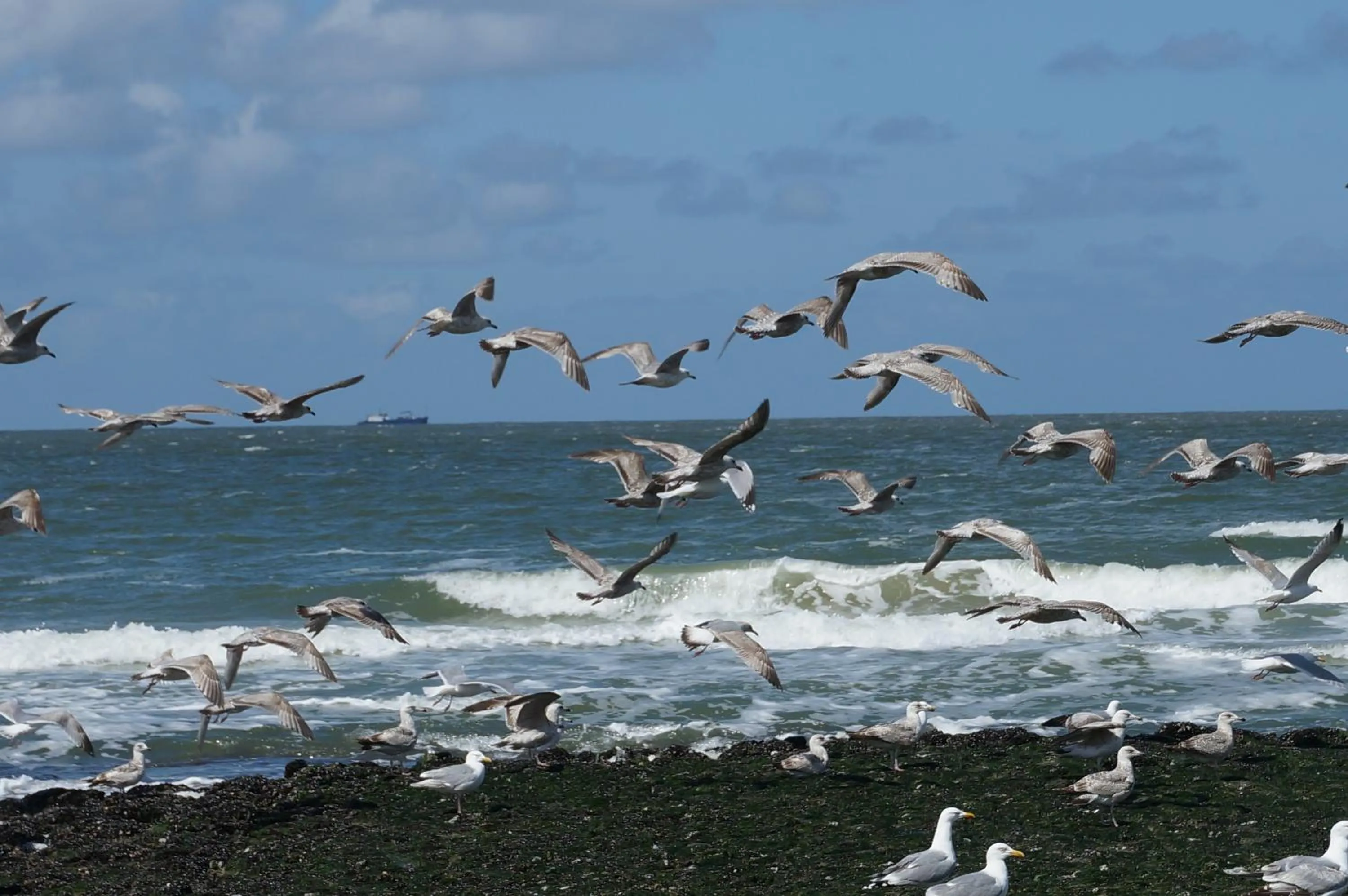 Beach in Bed & Breakfast aan Zee