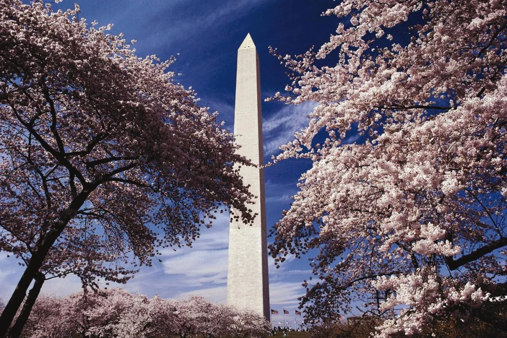 Club Wyndham National Harbor