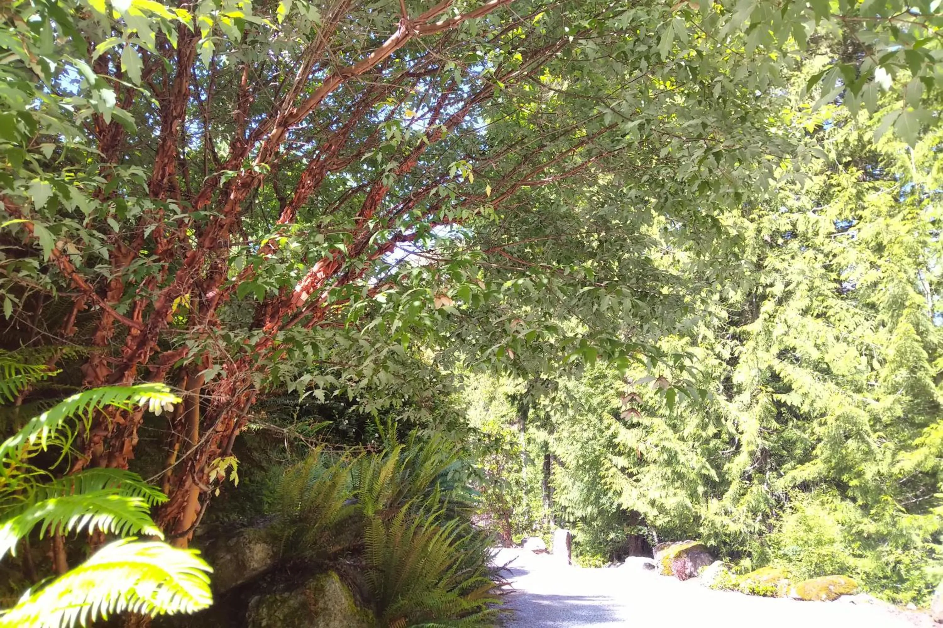 Garden in The Cabin at Moon Dance