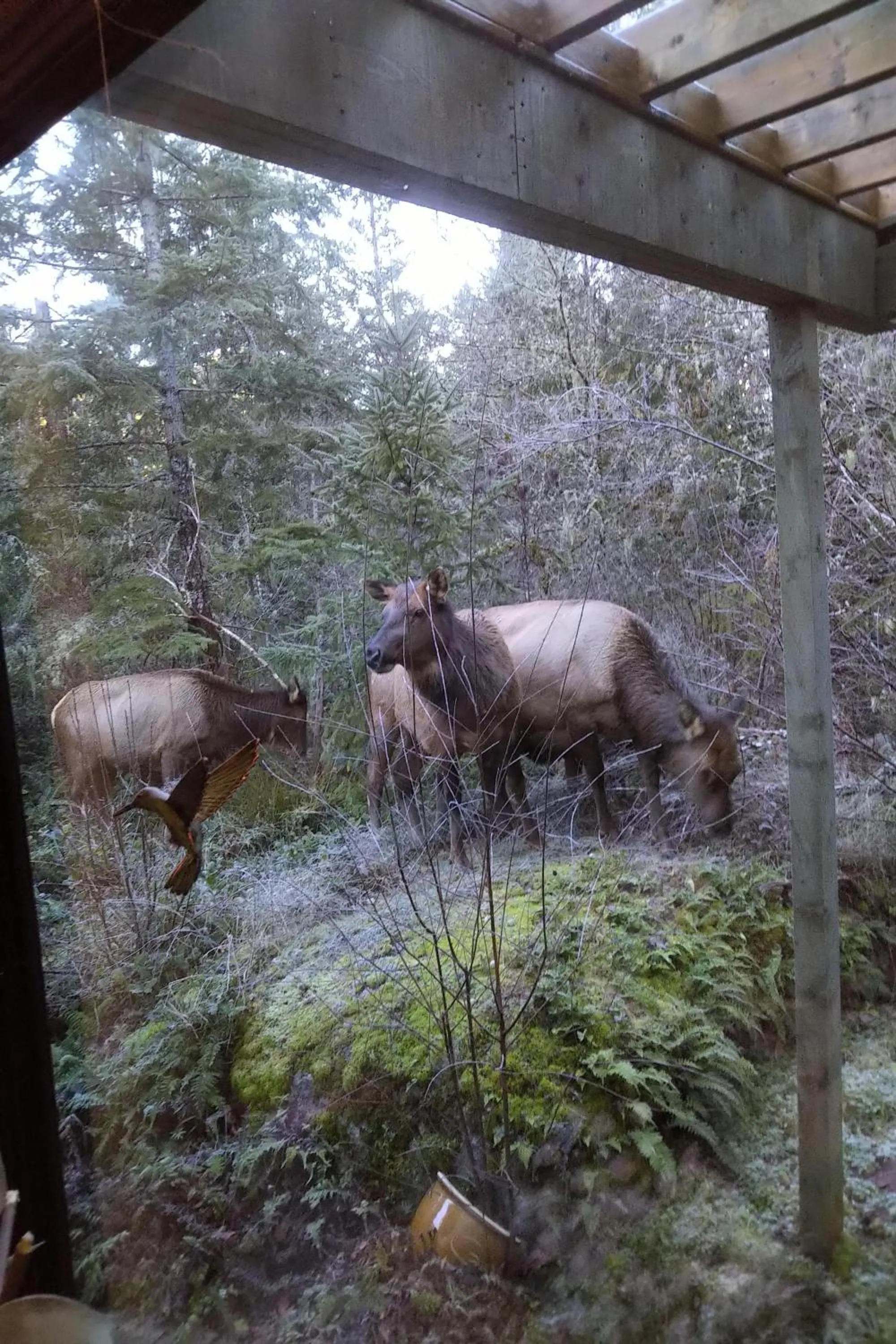 Natural landscape in The Cabin at Moon Dance