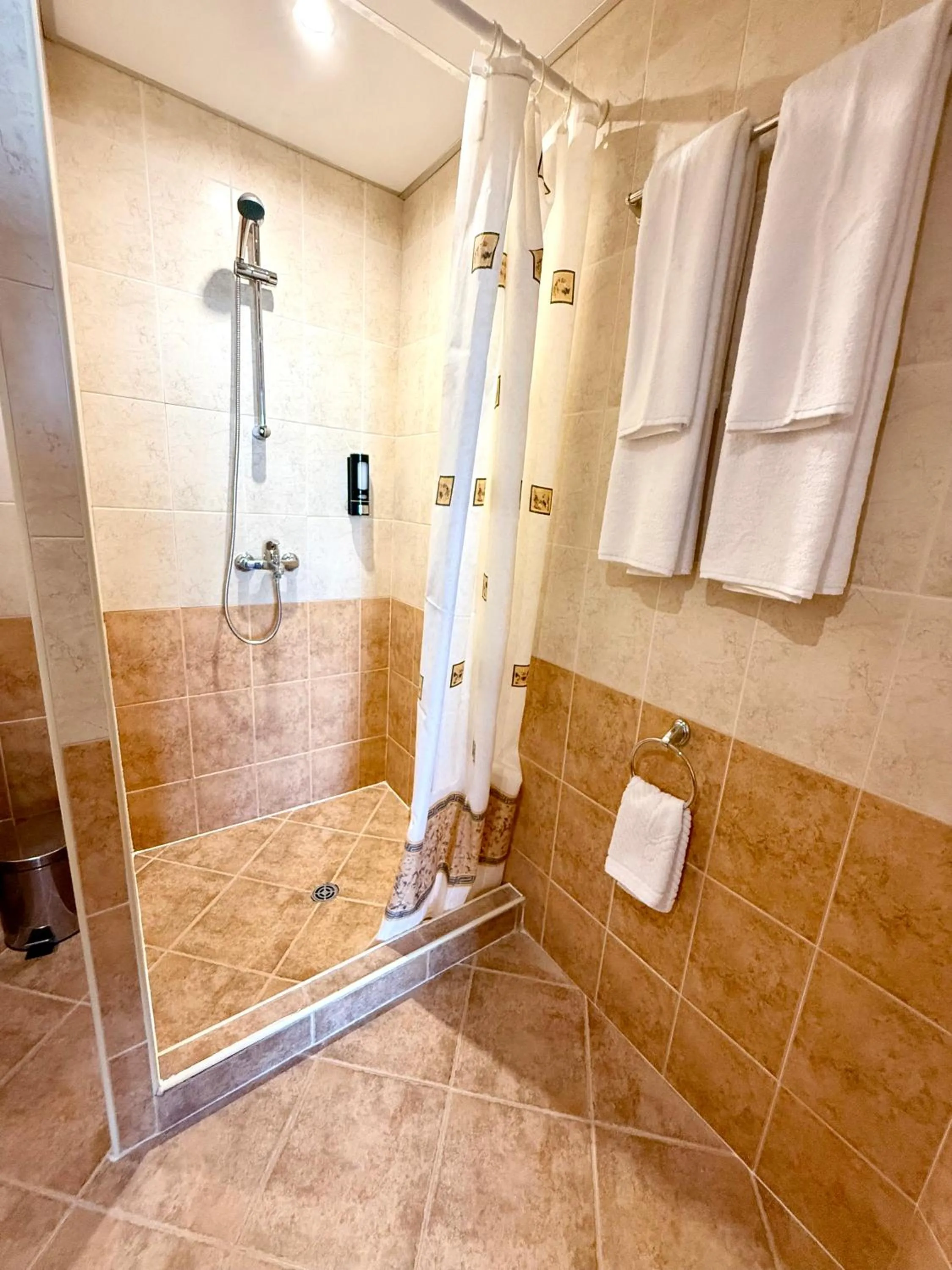 Bathroom in Hotel Rеgina - Golden Sands All Inclusive