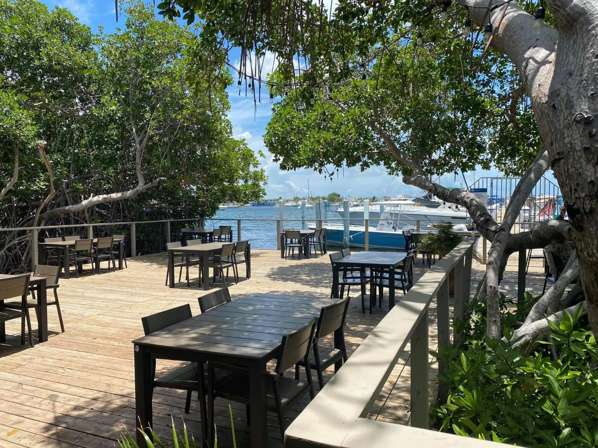 Restaurant/places to eat in Marina de Salinas