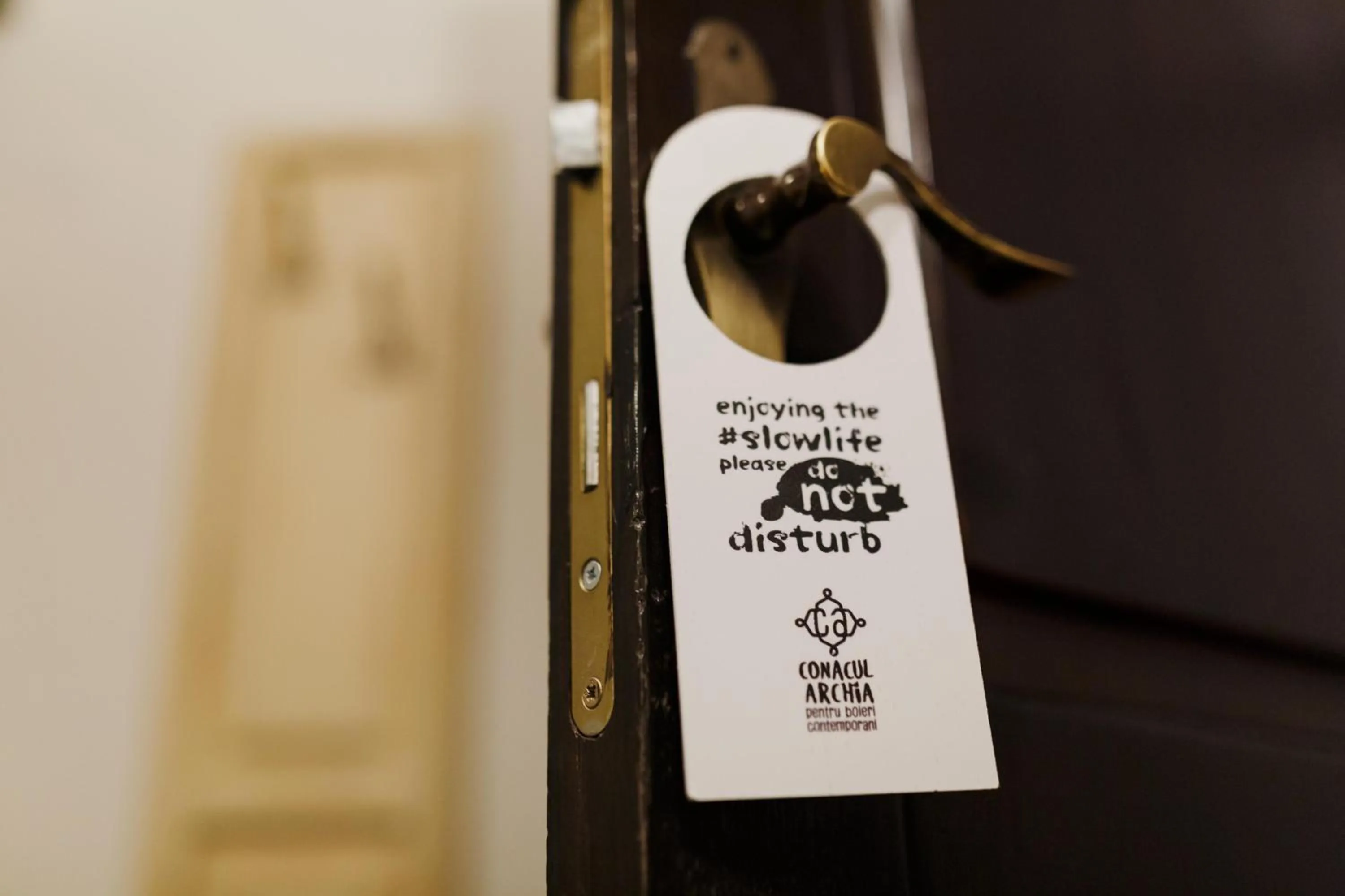 Property logo or sign in Conacul Archia