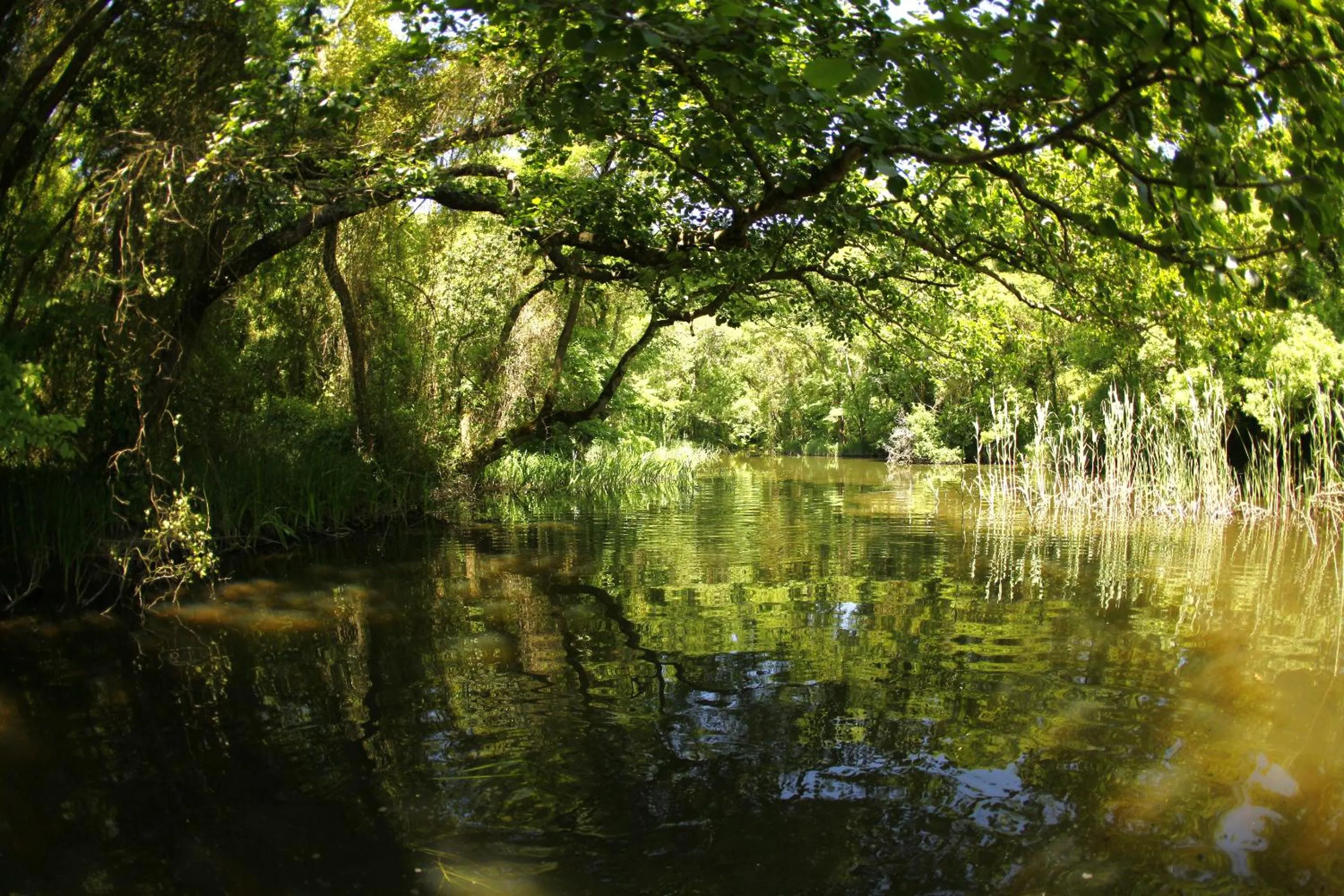 Natural landscape in Hotel Mura