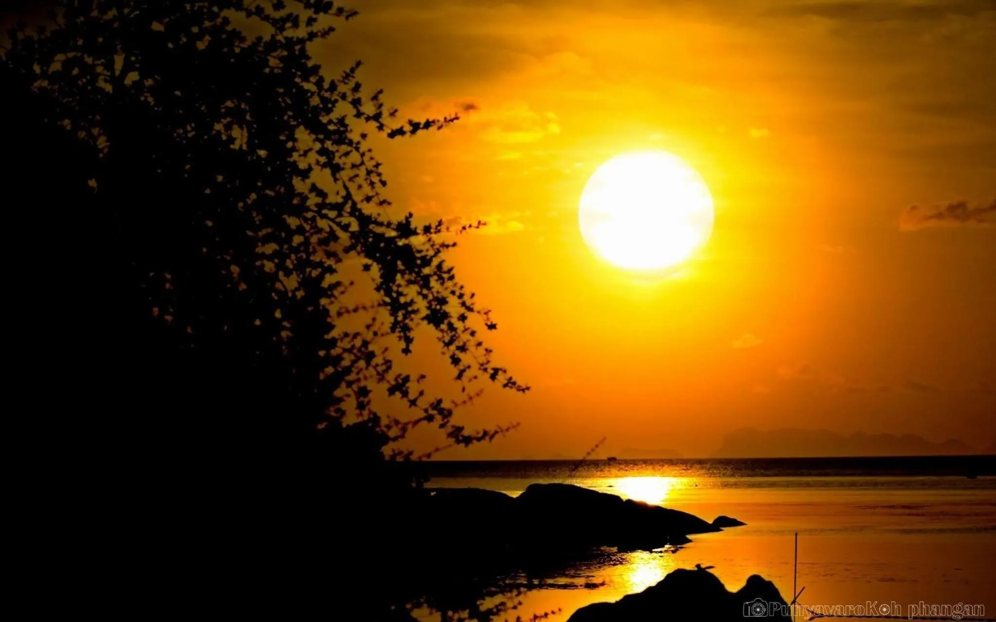 Natural landscape in Tharathip Resort Koh Phangan - SHA Plus