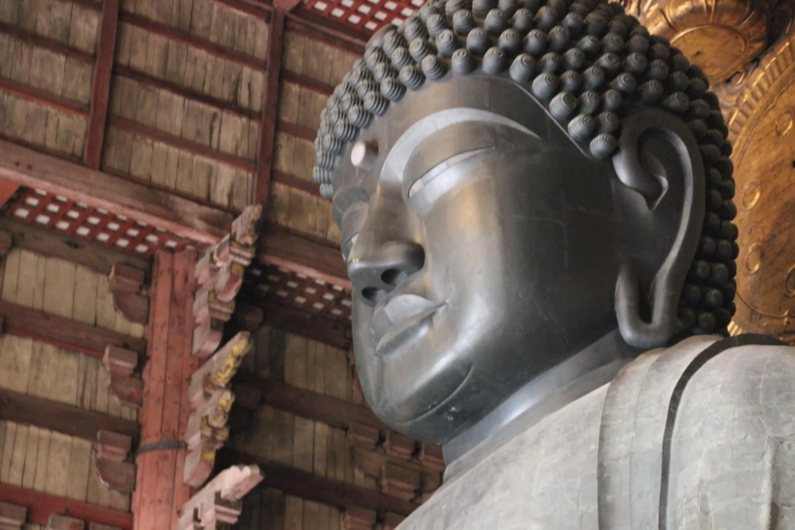 Other in HARUYA Naramachi