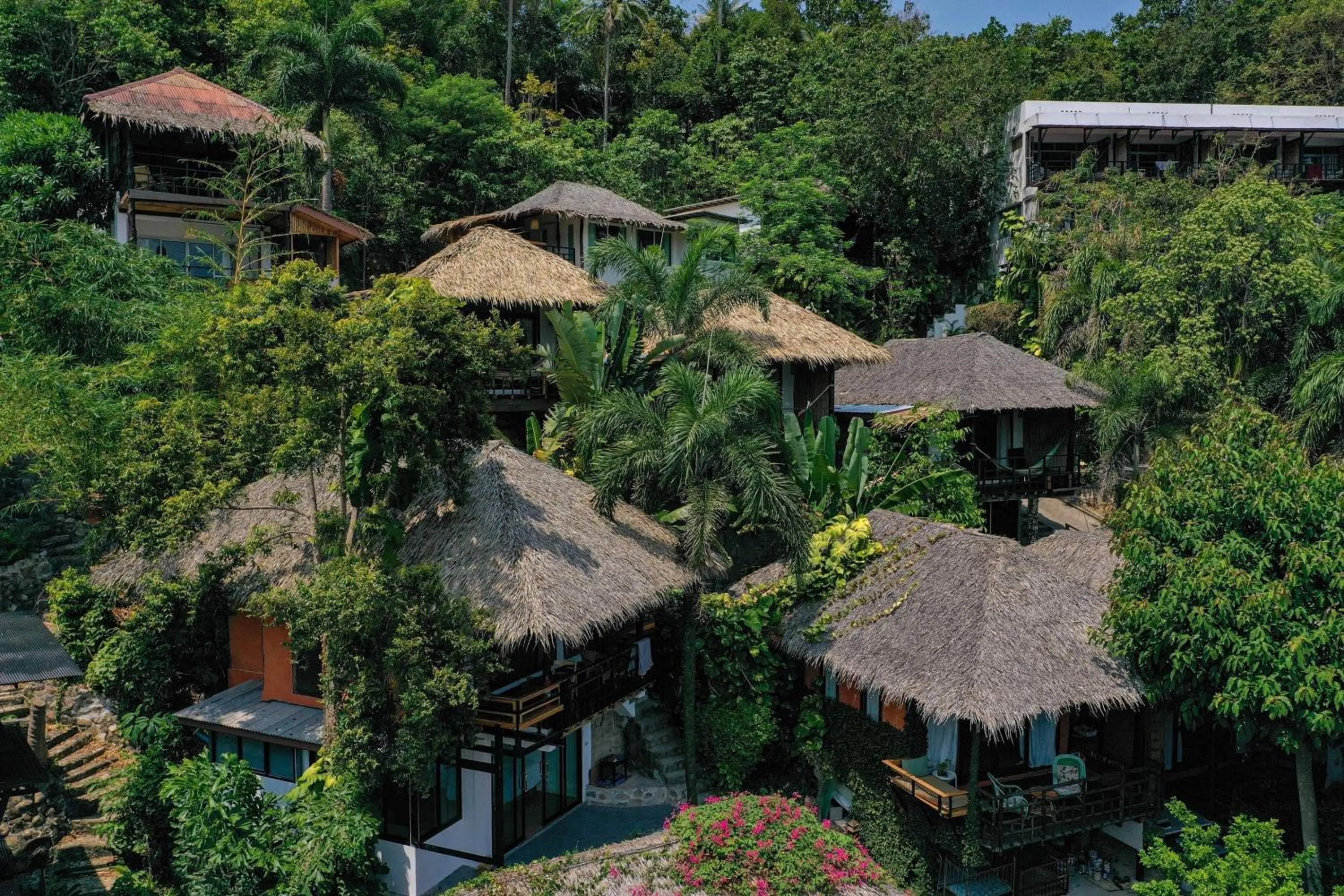 Cookies Salad Resort