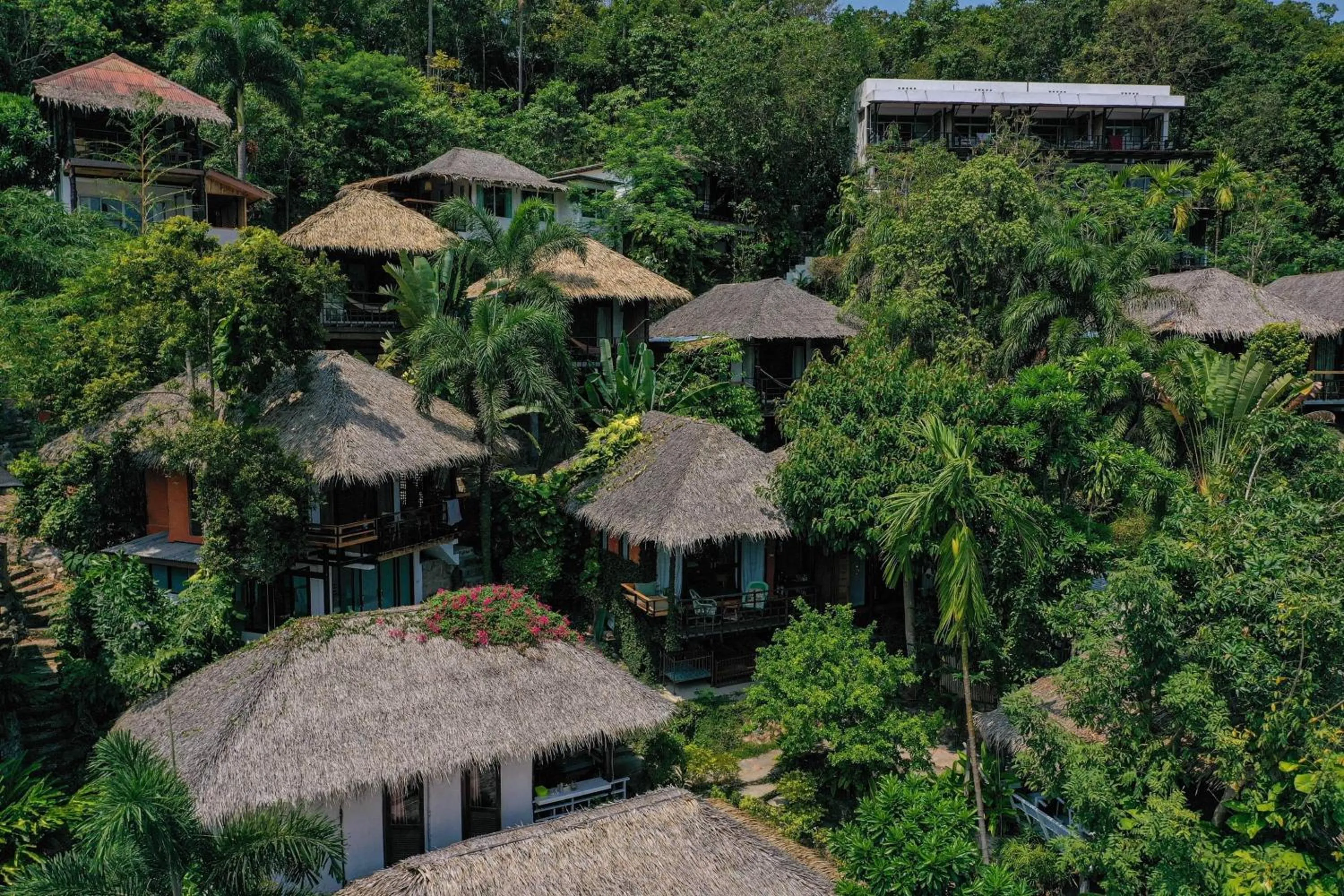 Cookies Salad Resort