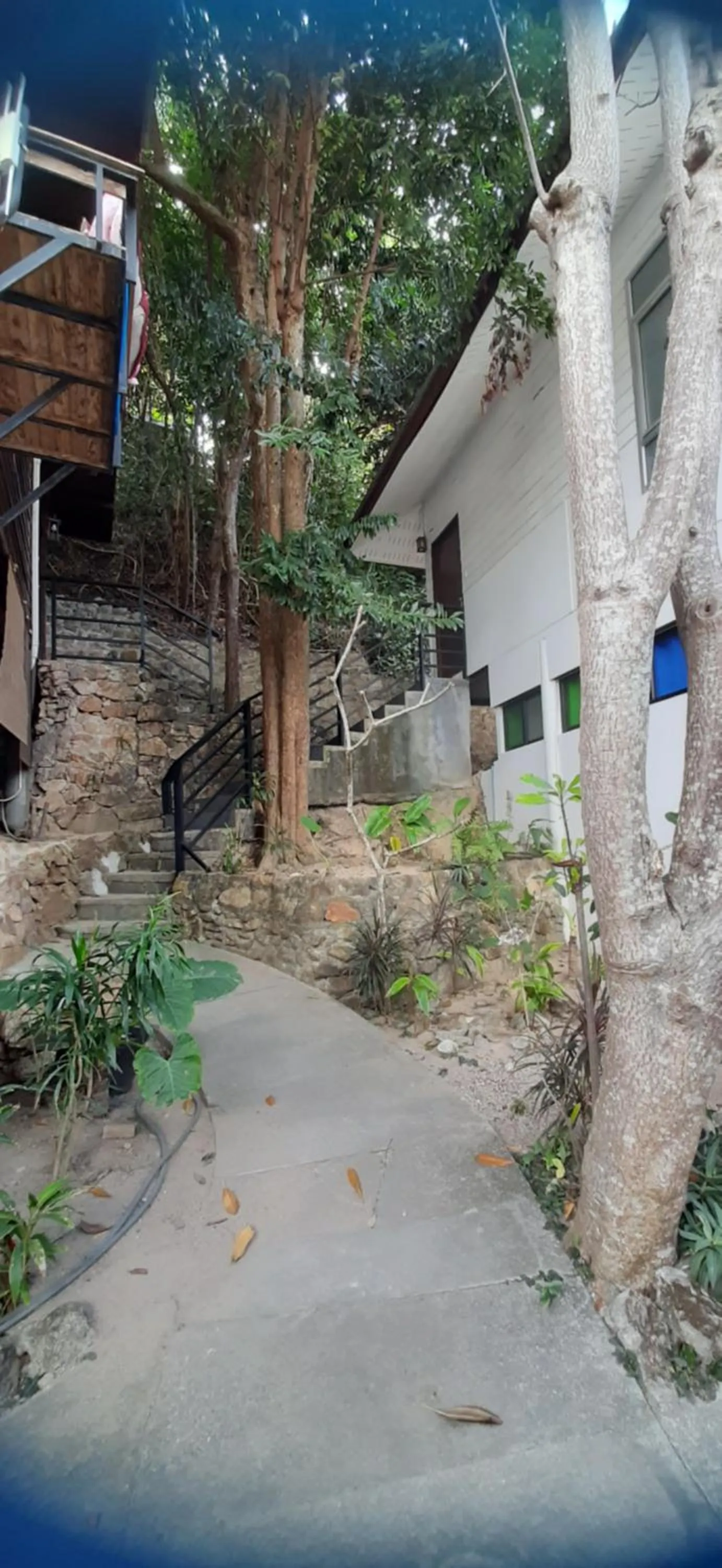 Cookies Salad Resort