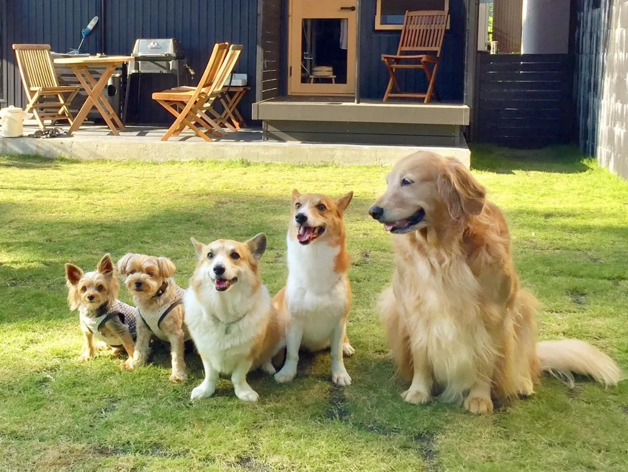 BBQ facilities in Nihon Iro