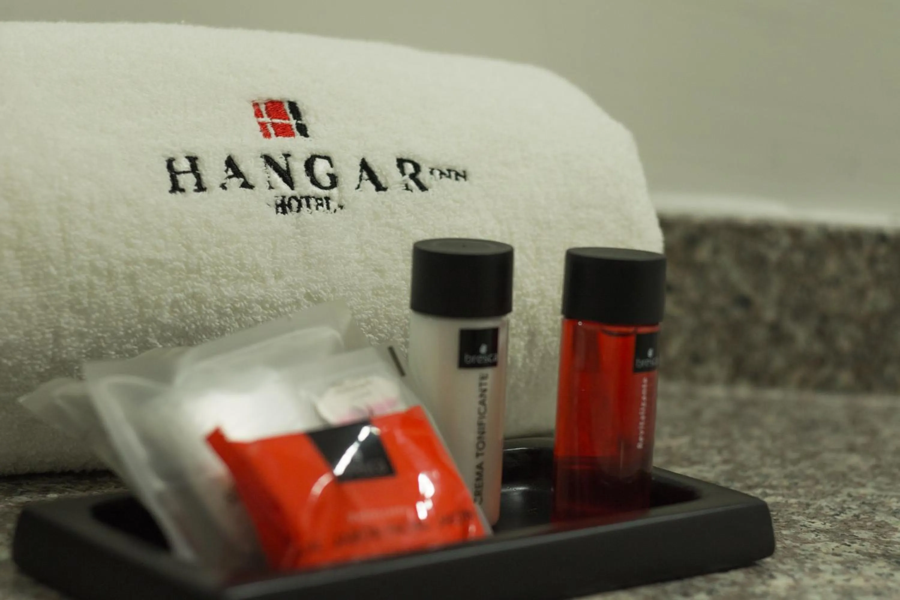 Hangar Inn Guadalajara Aeropuerto