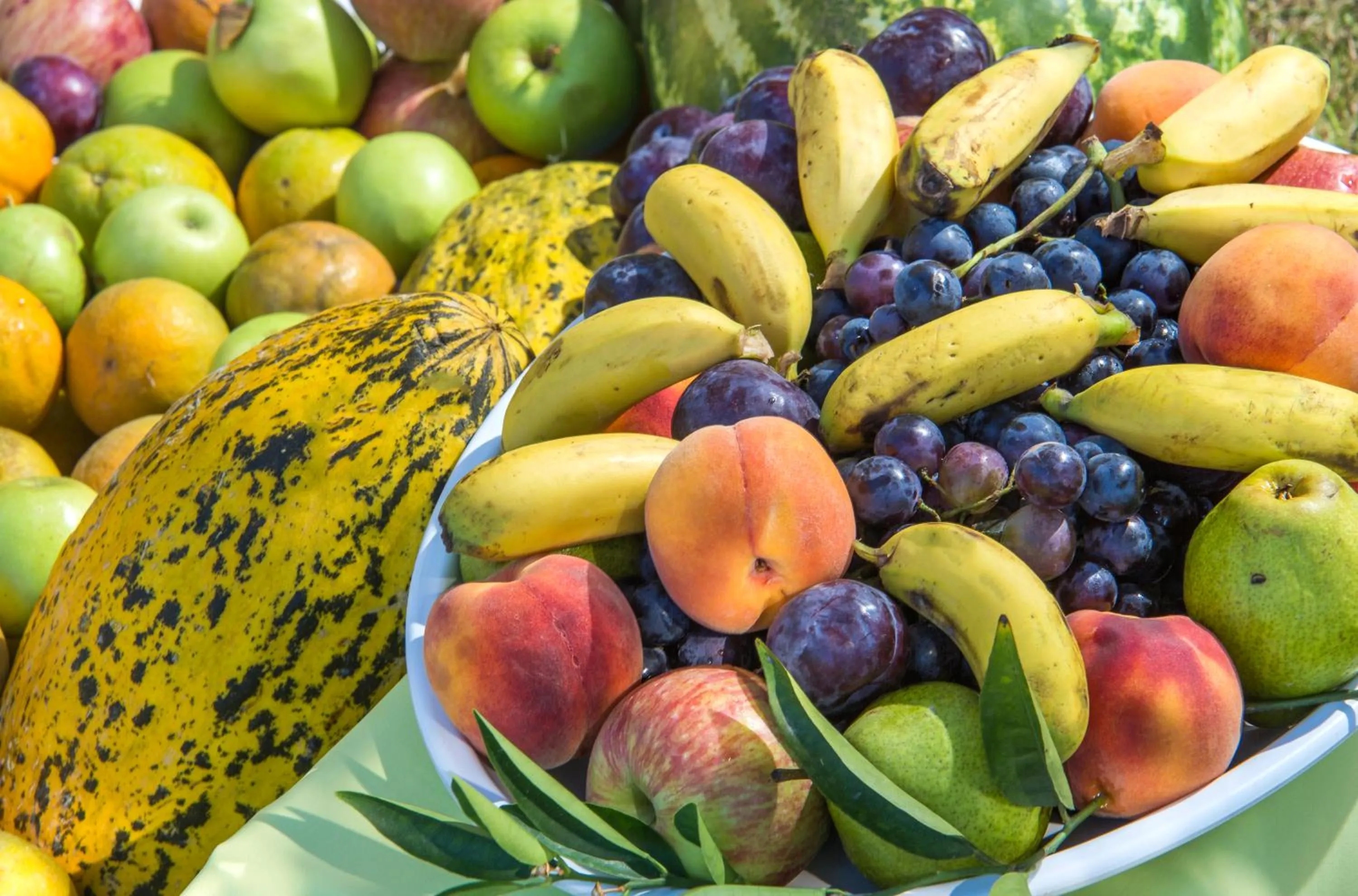 Food in Lonicera World - Ultra All Inclusive