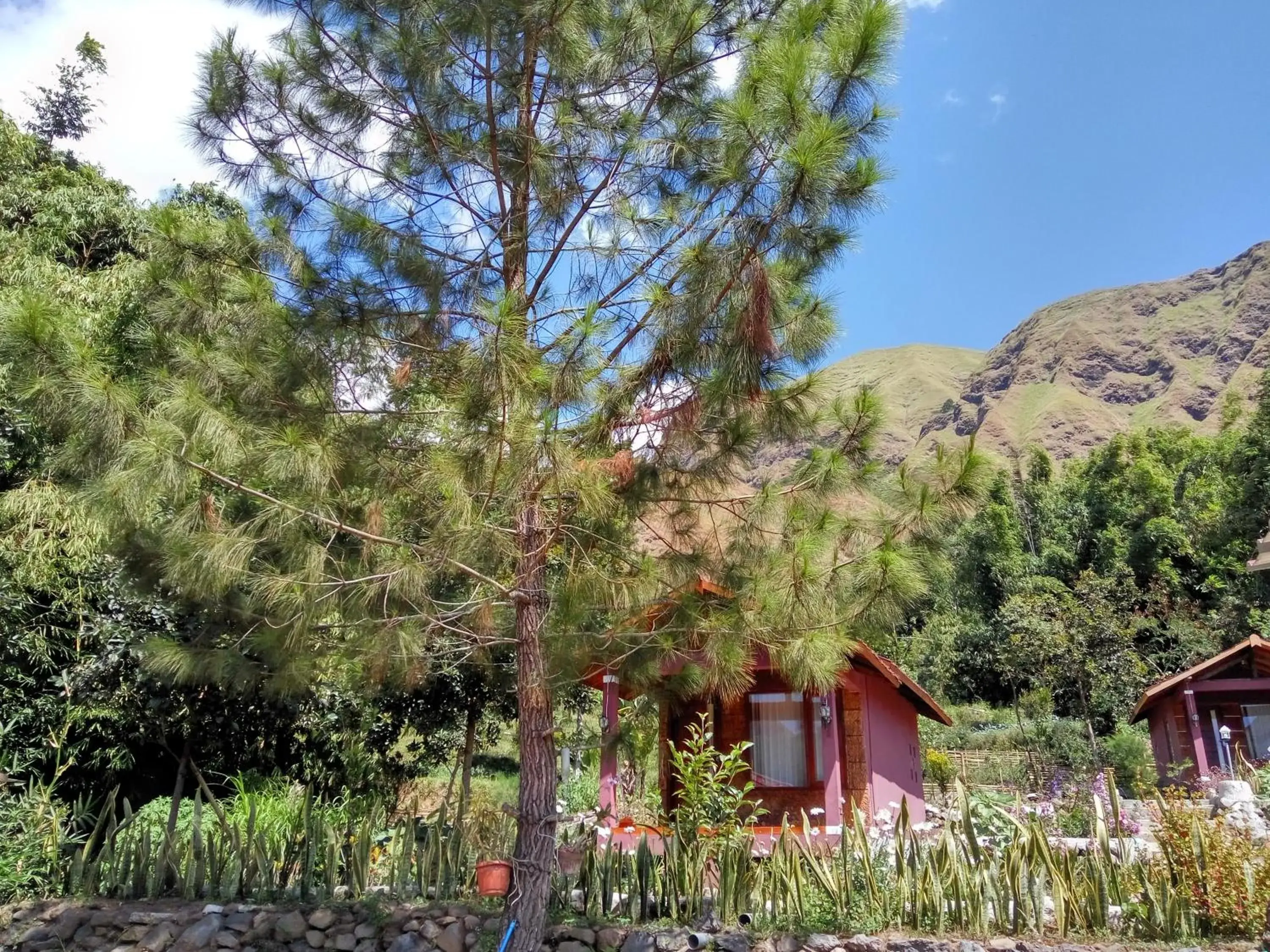 Double Room with Mountain View in Sembalun Kita Cottage Double Room with Mountain View in Sembalun Kita Cottage