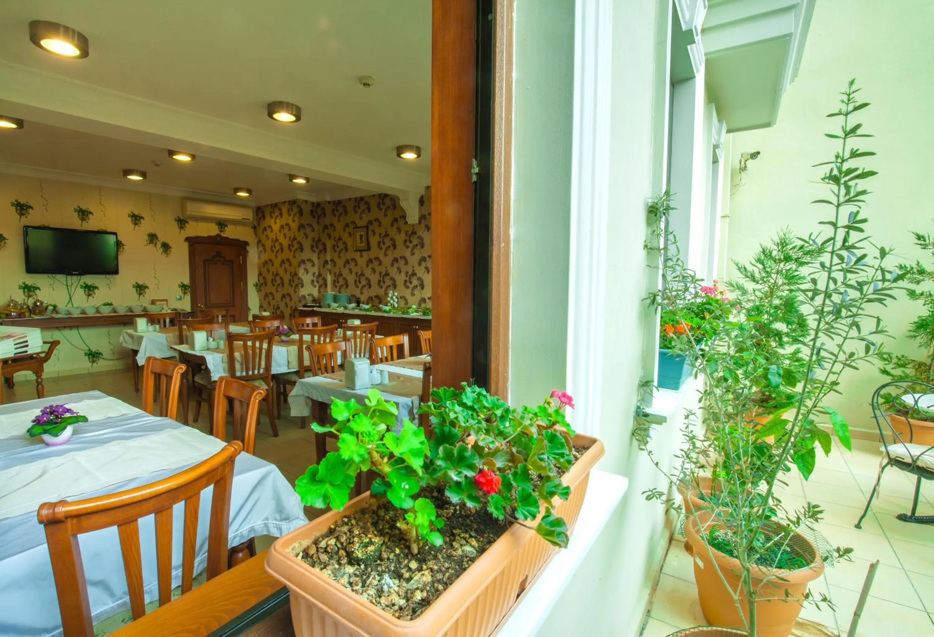 Garden in Saba Sultan Hotel