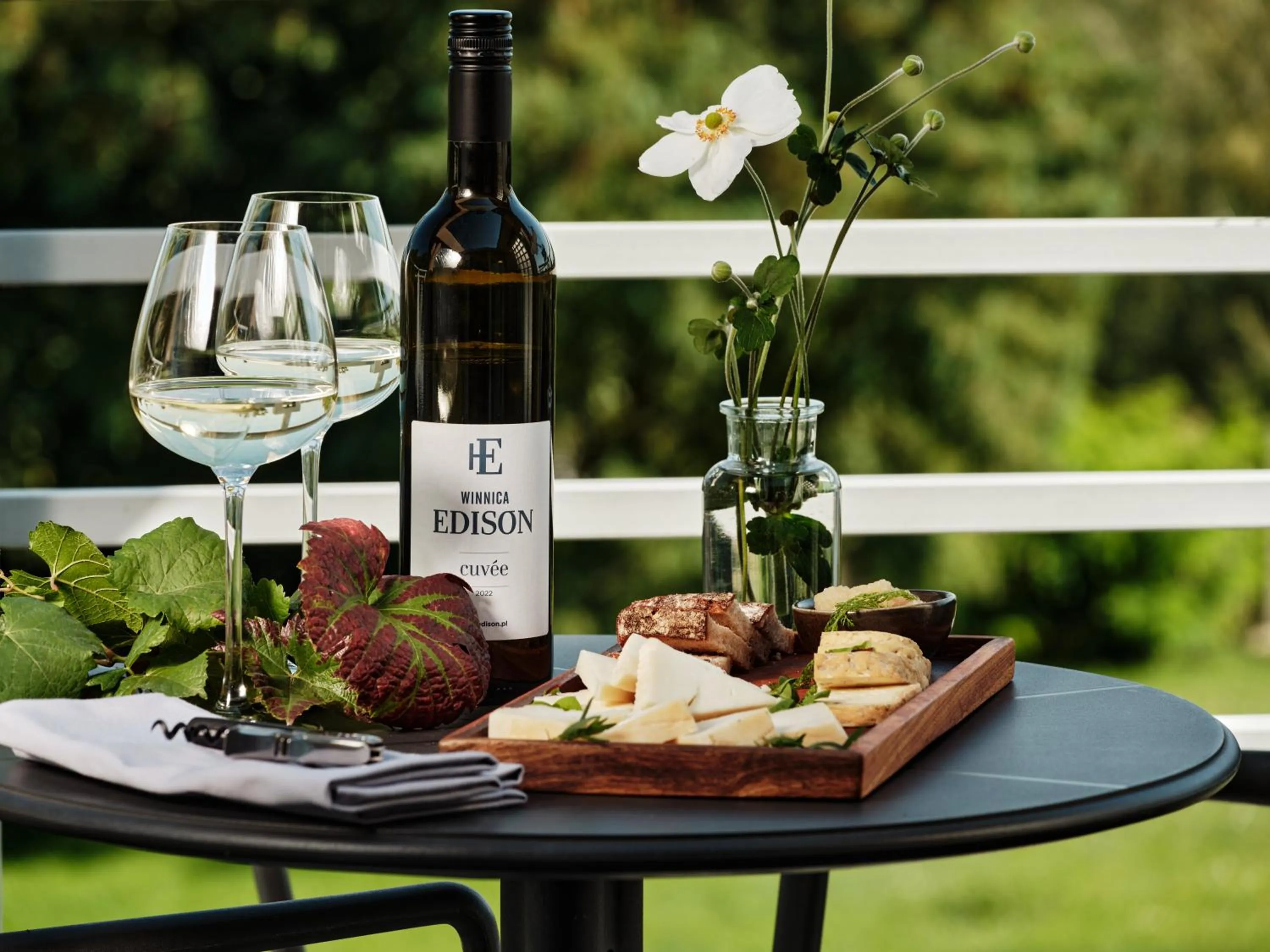 Garden in Hotel Edison Poznań Lotnisko Ławica