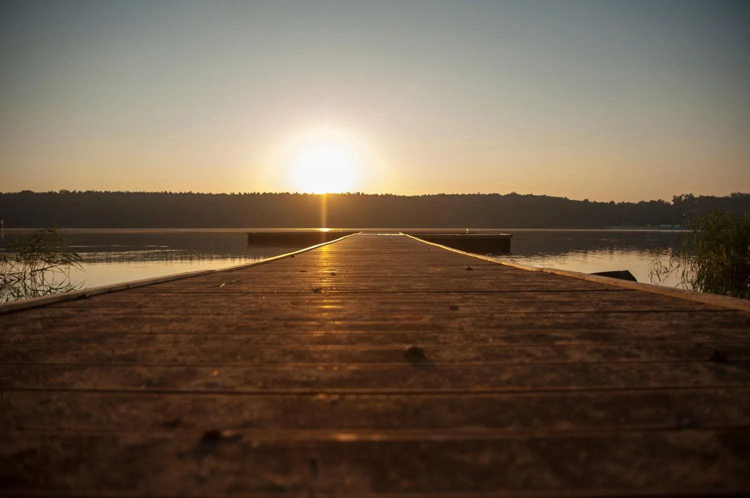 Natural landscape in Hotel Edison Poznań Lotnisko Ławica