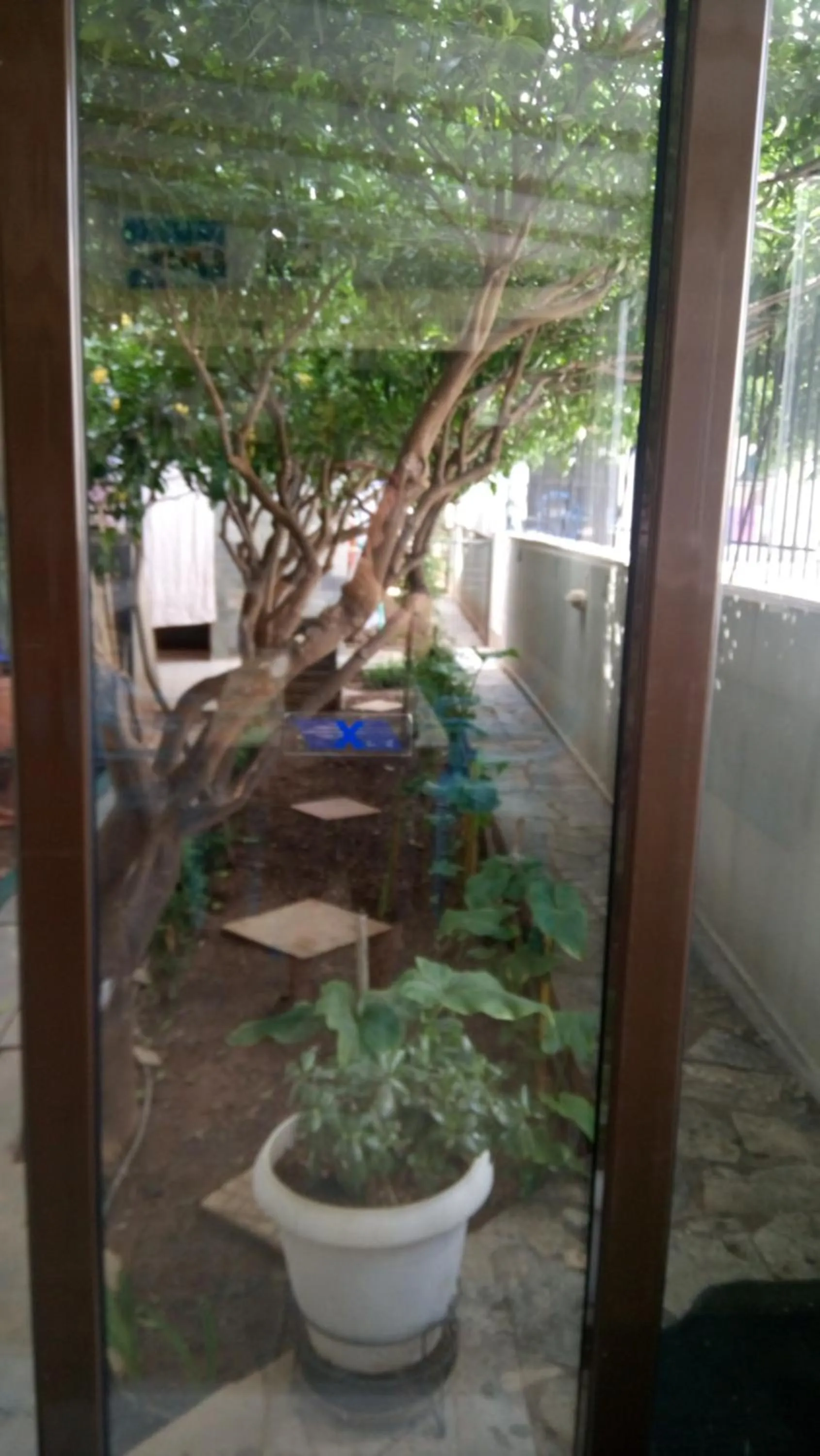 Garden in Villa George - Family Holidays