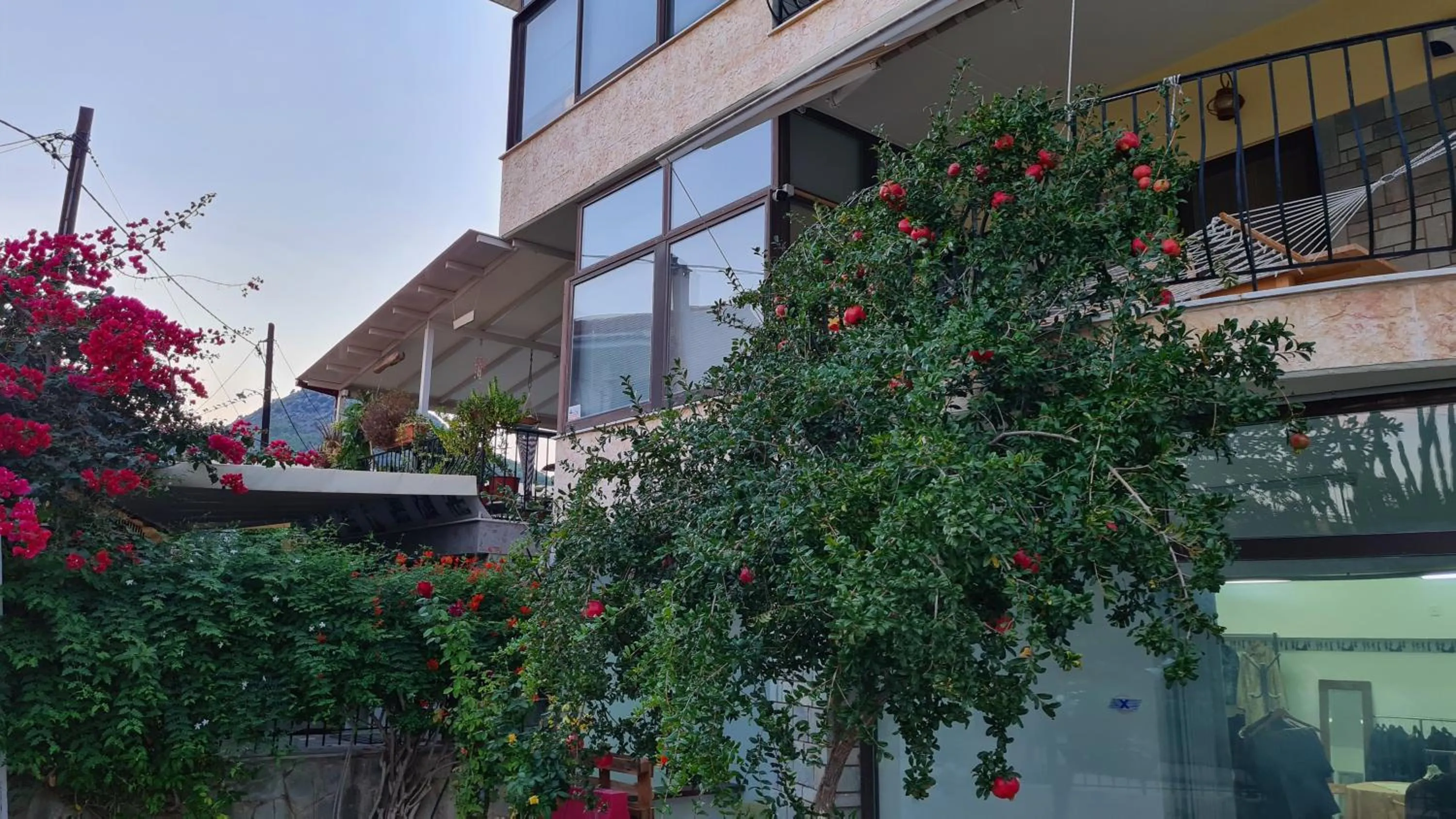 Garden in Villa George - Family Holidays