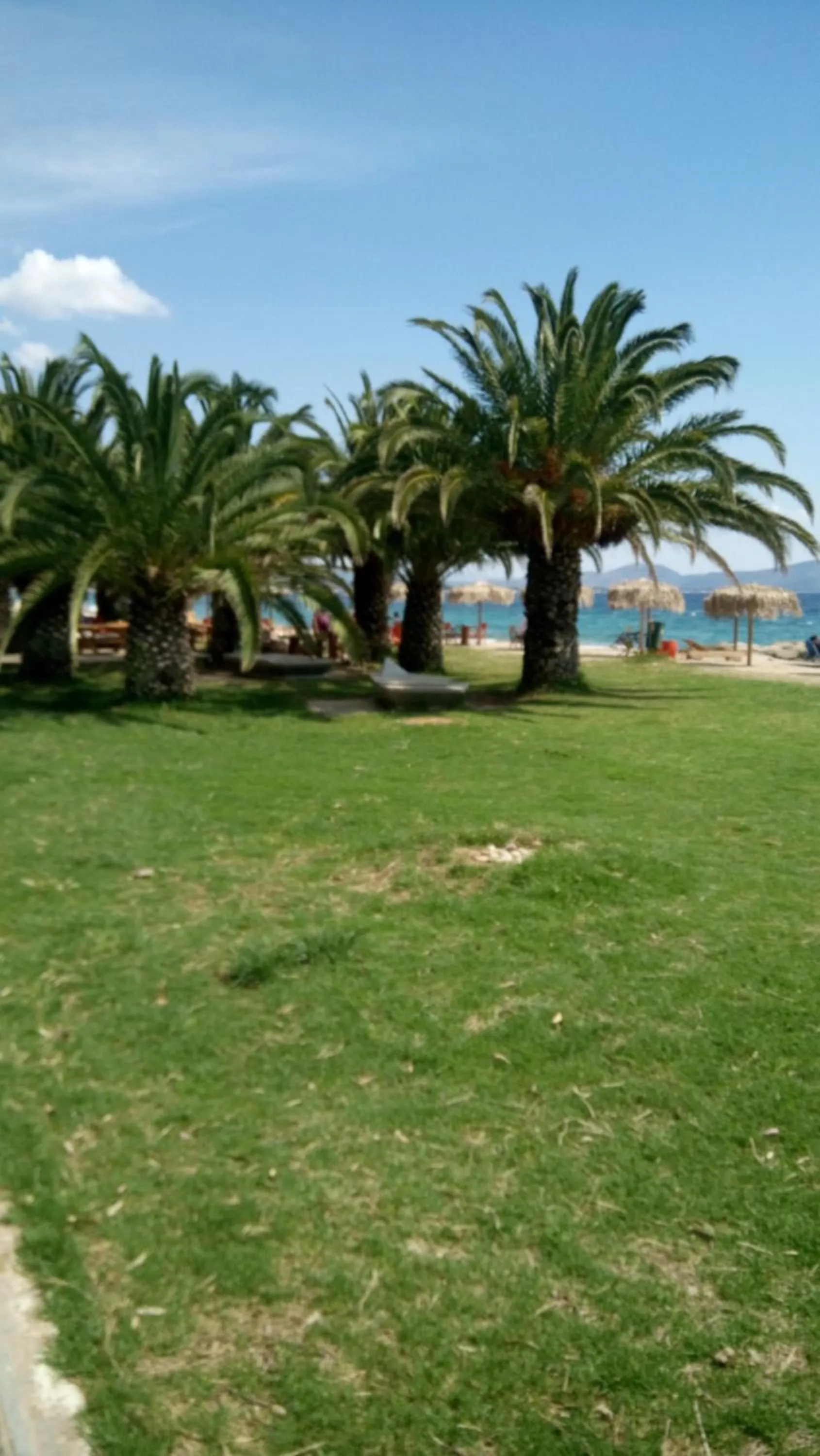Beach in Villa George - Family Holidays